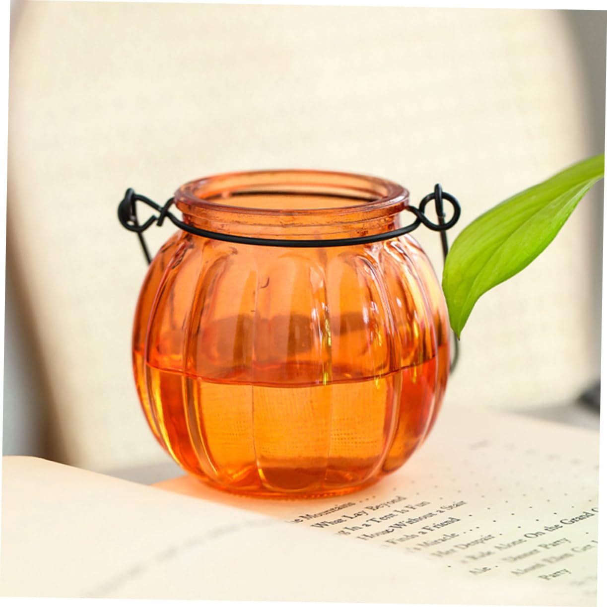 LIFKOME 4Pcs Hanging Hydroponic Vases Glass Plant Bottles with Handles for Home Decor for Weddings and Parties and Stylish Planter Terrariums for Bedroom