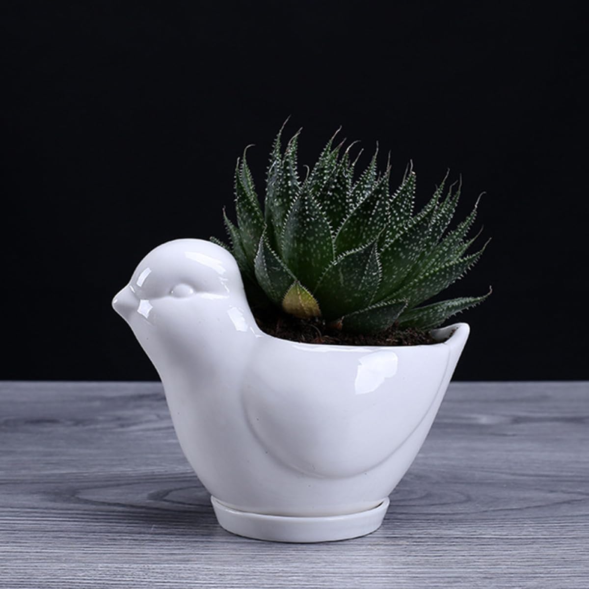 Holibanna Ceramic Succulent Plant Pot Bird Shape Saucer Small White Flower Pot Indoor Desktop Planter Decorative Container for Home Gardening