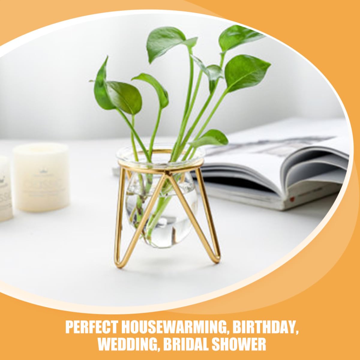 Zerodeko Glass Flower Vase with Metal Stand, Short Gold Hydroponic Plant Holder for Desktop Terrarium and Propagation, Glass Plant Pot for Home and Office Décor