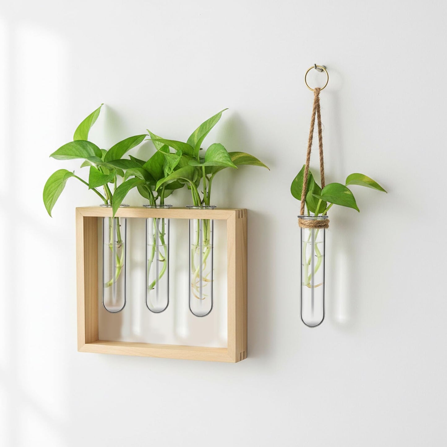 TOYANDONA 5pcs Glass Propagation Tubes for Plants Small Hydroponic Test Tube Vases for Flowers Home Decoration Plant Terrarium Station 2.5x3x11cm