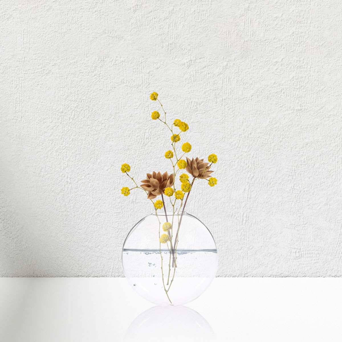 GOOHOCHY 2pcs Wall Hanging Hydroponic Glass Vases Flat Plant Terrarium for Indoor Plant Wall Decor Home and Office