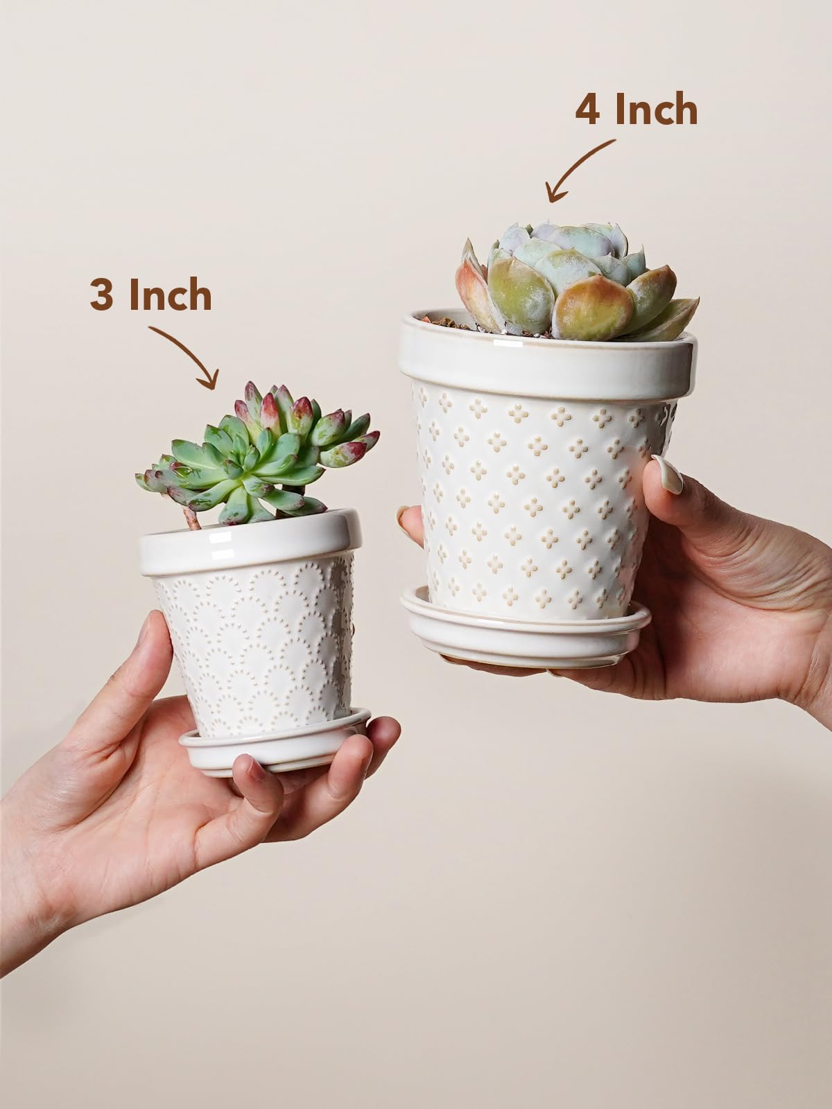 LE TAUCI 3 Inch Mini Succulent Pots - Very Small Ceramic Planter with Saucer, Tiny Embossed Flower Pots for Lithops, Mini Cactus, Air Plants, Fairy Gardens - Indoor Home Decor, Set of 4, Arctic White