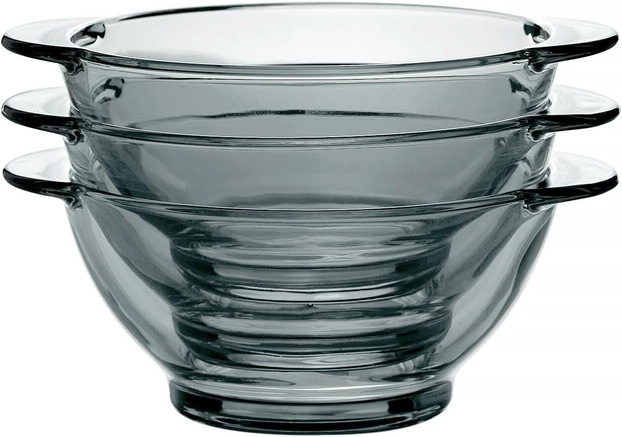 STP GOODS Glass Soup and Salad Bowl with Handles, Cobalt Transparent Glass Eating Plates, Circular Dinnerware for Salad, Bread, Dinner (Gray 4 pcs)