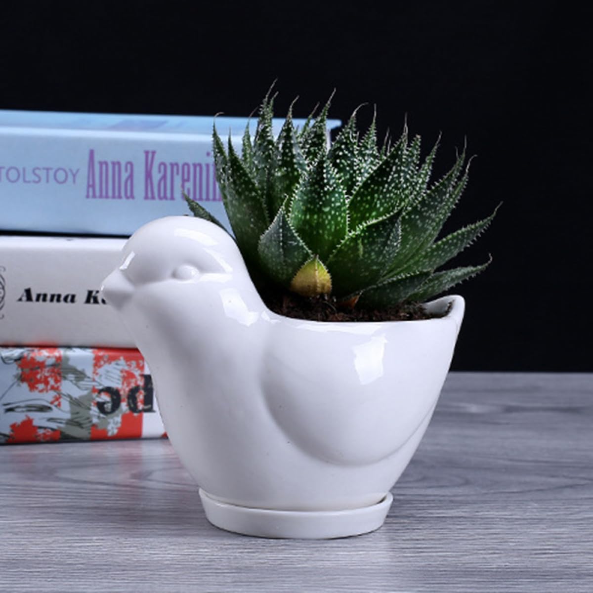 Parliky Ceramic Bird Shape Flower Pot Saucer Small White Succulent Plant Container Indoor Desktop Decor for Home Office Gardening