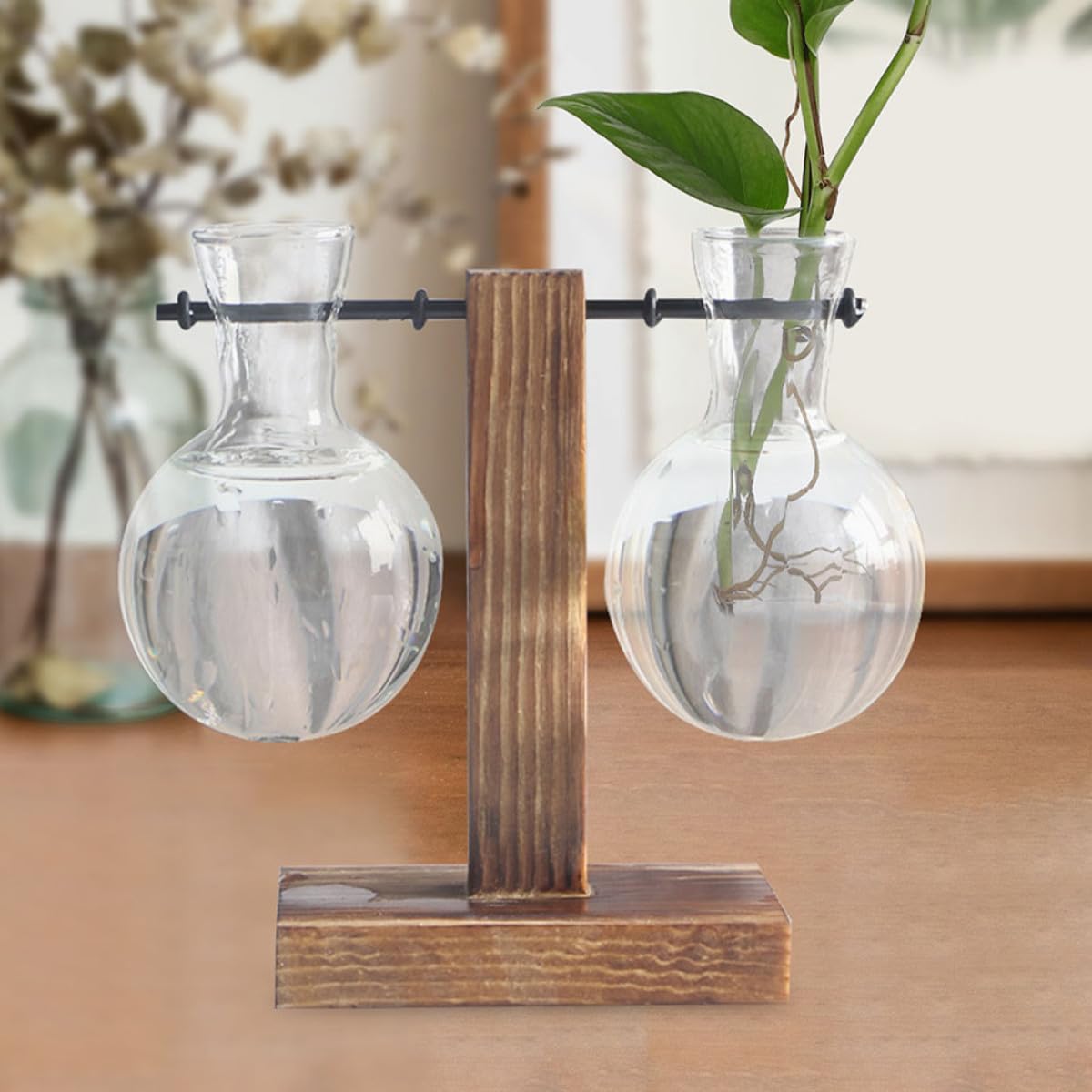 ARTIBETTER 3Pcs High Borosilicate Glass Hydroponic Vase with Holes on Wooden Stand, Desktop Glass Flower Planter for Plant Propagation and Terrarium Arrangement