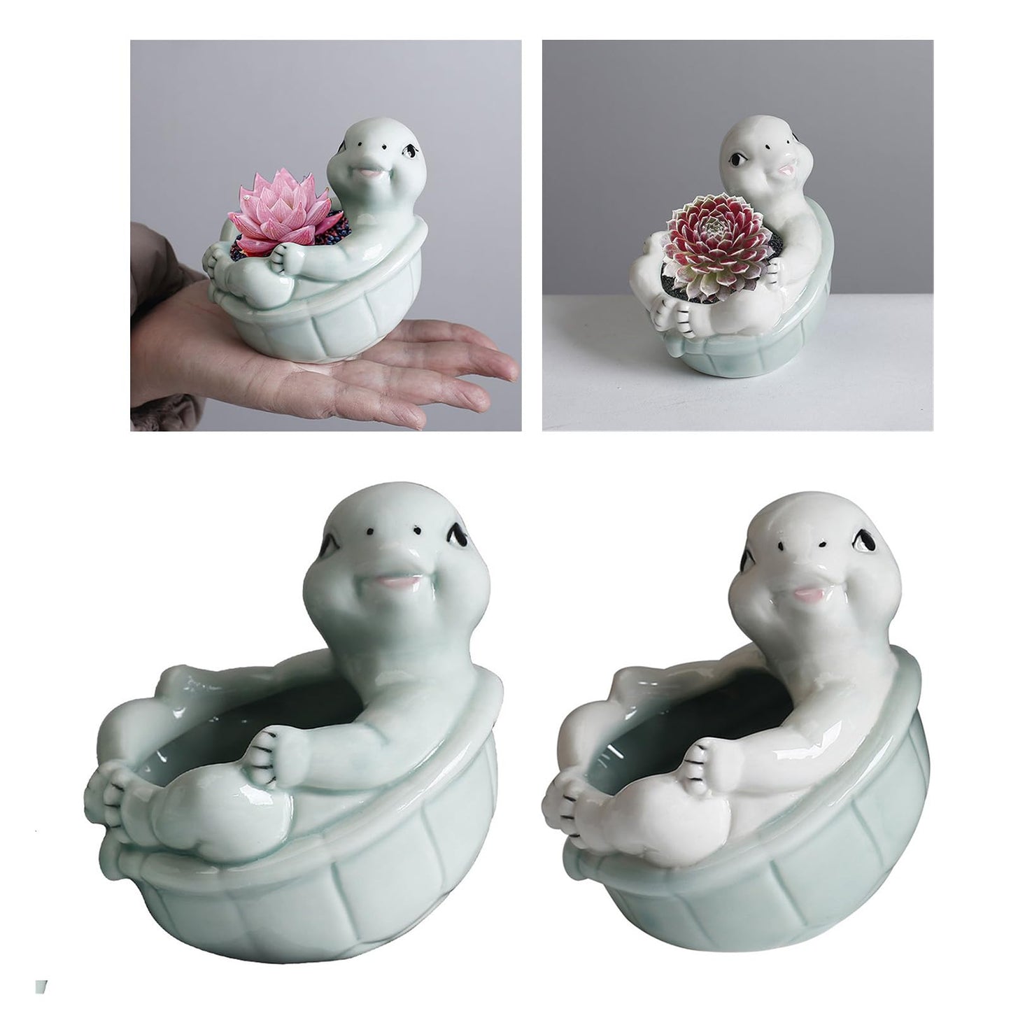 jiingekk Succulents Plant Pots Turtles Planter Flower Pots Planting Pots For Cactus Succulents Planter For Indoor Plant Indoor Plant Holder