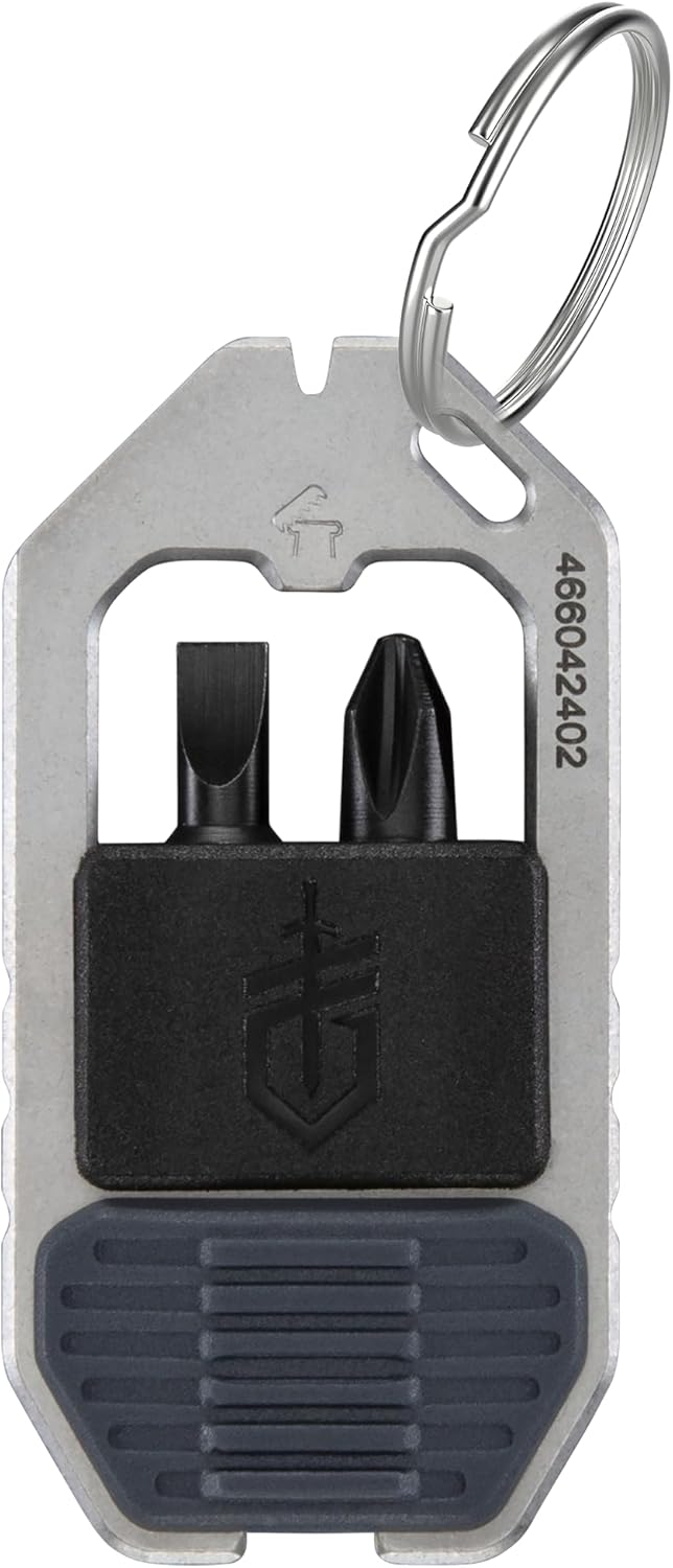 Gerber Gear Driver Keychain 5-in-1 Multitool, Clips to Pocket or Keychain with Pry Bar, Phillips and Flat Head Screwdriver Bits, and Bottle Opener, Lightweight EDC Gear for Everyday Carry, Urban Blue