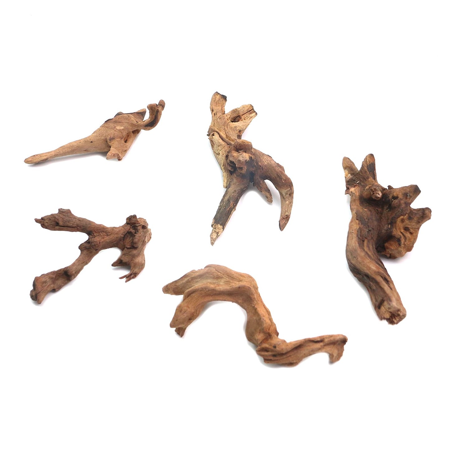 Tsnamay 5Pcs Real Natural Driftwood for Aquarium, Aquarium Decor Wood Freshwater Fish Tank Reptile Driftwood Branch Length 3.93" to 5.9"