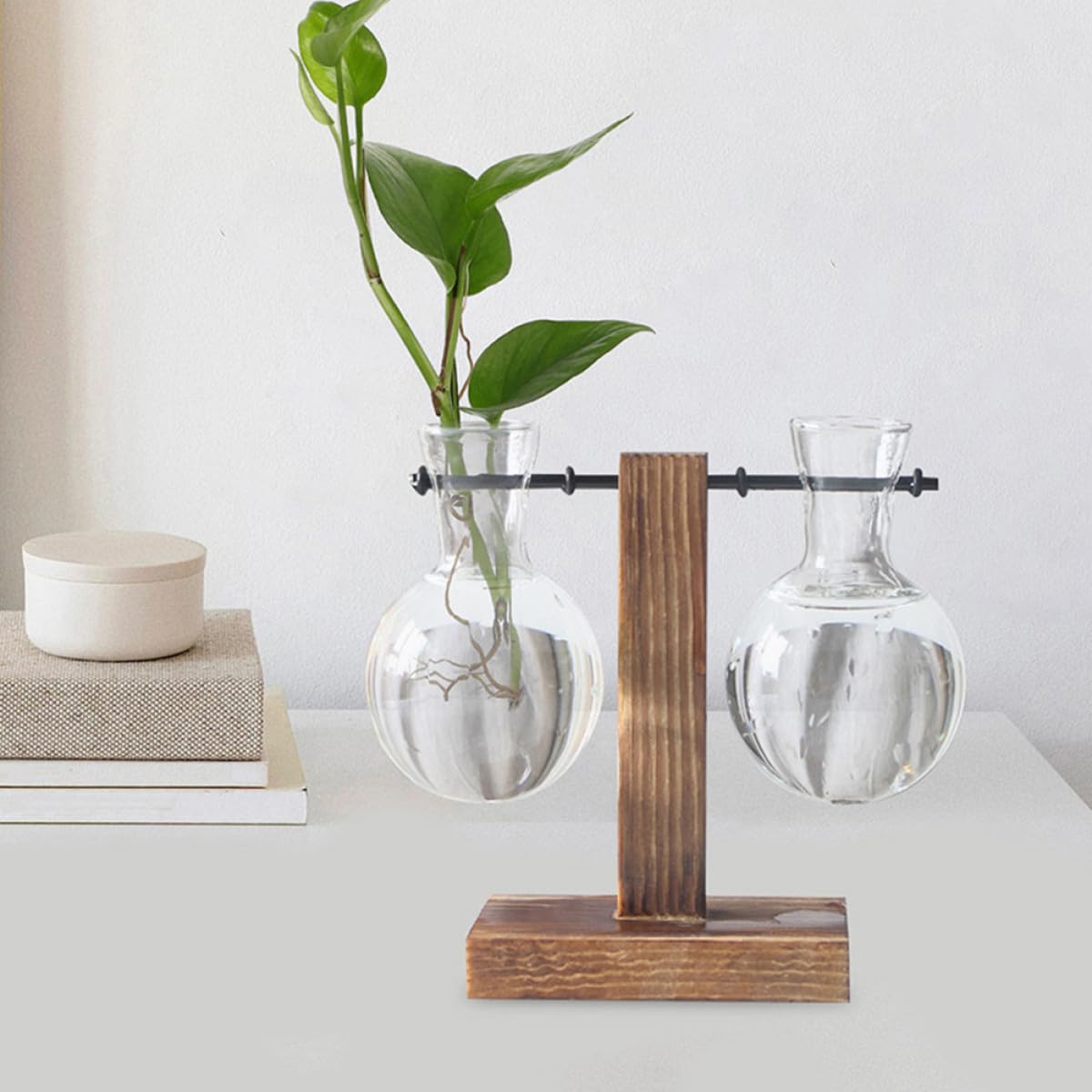 ROMISBABA 3pcs Glass Propagation Planter Vases with Wooden Stand, High Borosilicate Hydroponic Plant Holder Jars for Indoor Plant Propagation and Terrarium Decoration