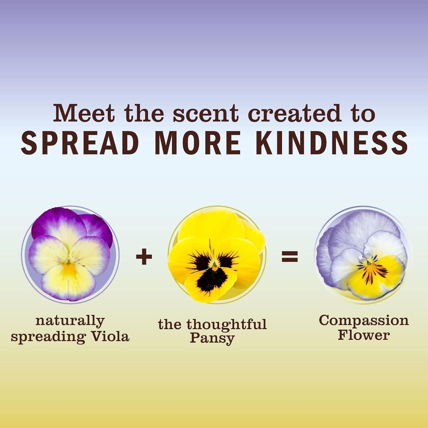 Mrs. MEYER'S Kitchen Set, Dish Soap, Hand Soap, and Multi-Surface Cleaner, 3 CT (Compassion Flower)