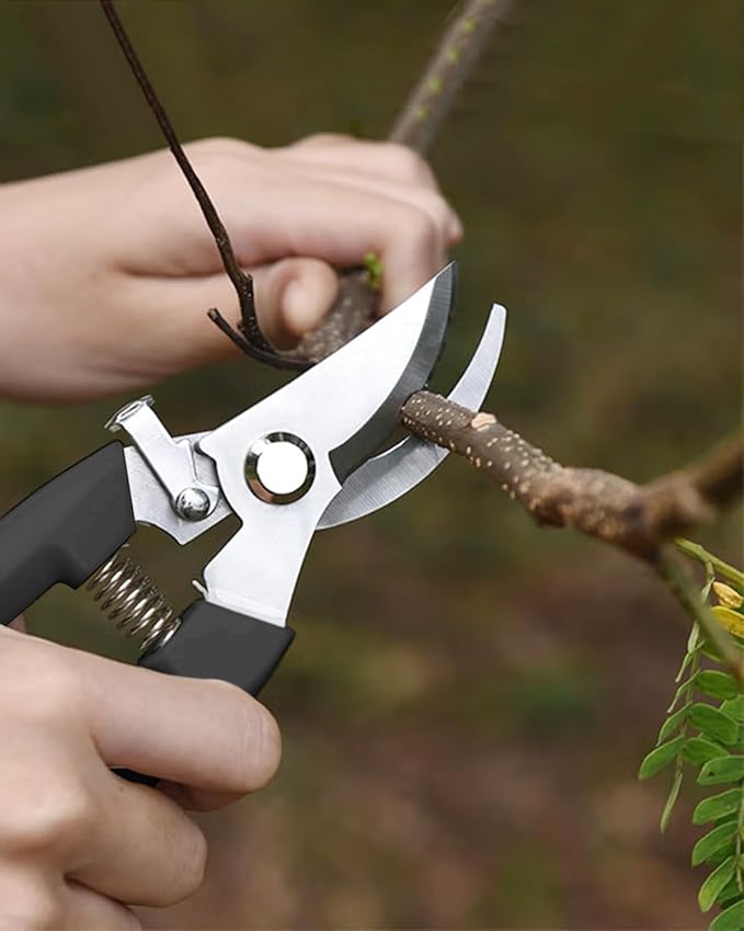 Garden Scissor for Plant, 12 Pcs Floral Scissors, Tip Pruning Shears Bulk for Cutting Flowers, Bonsai, Fruits and Trimming Plants(Black)