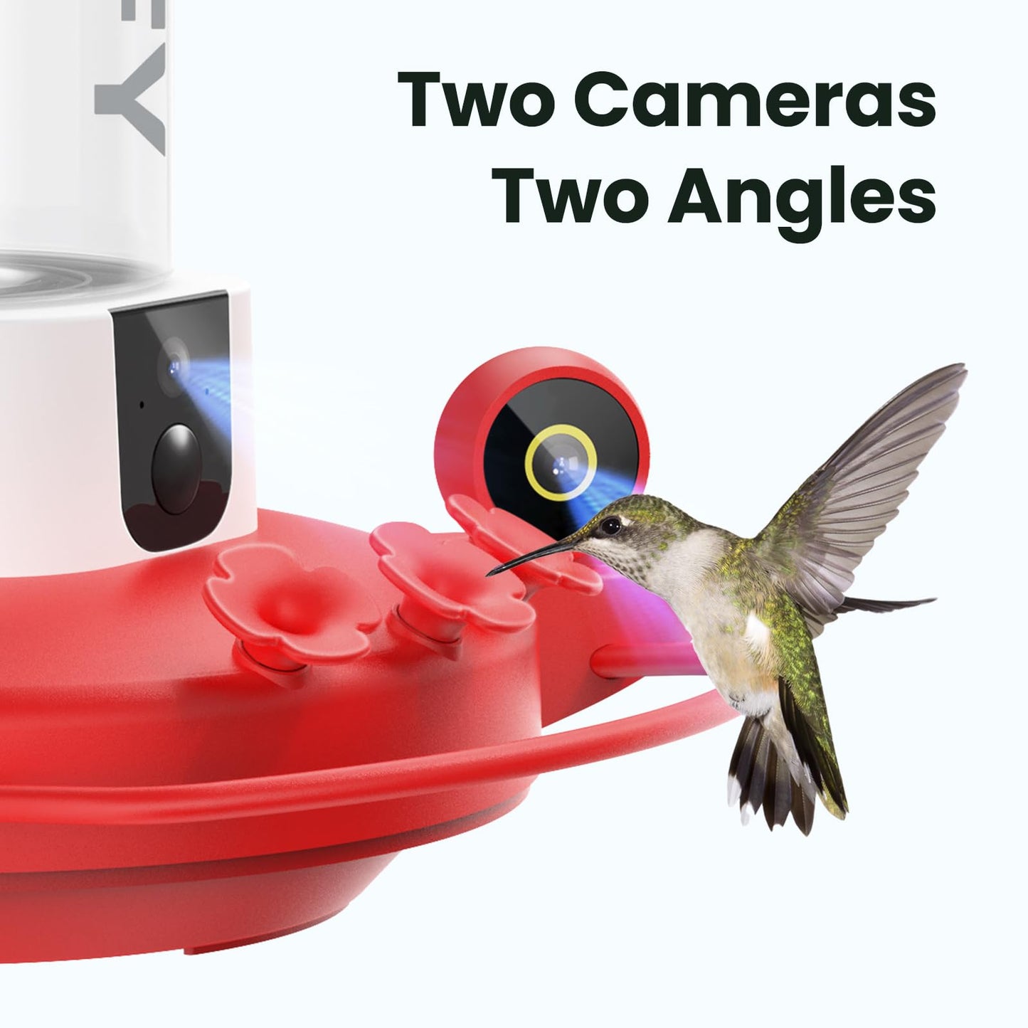 Birdfy Hummingbird Feeder with Dual Cameras - 2K HD Smart Cameras Solar Powered, Close-Up Bird Video/Live Watching & Instant Notifications, Ant Moat & Leakproof - 20oz (AI Lifetime)