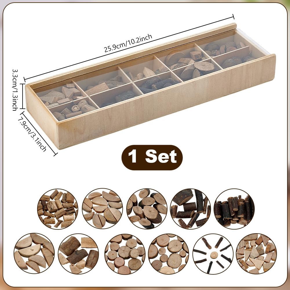 PH PandaHall Wooden Unfinished Craft Kits, Natural Wood Slices Loose Parts Play Materials Art Supplies for DIY Painting Building Sorting Activities Projects