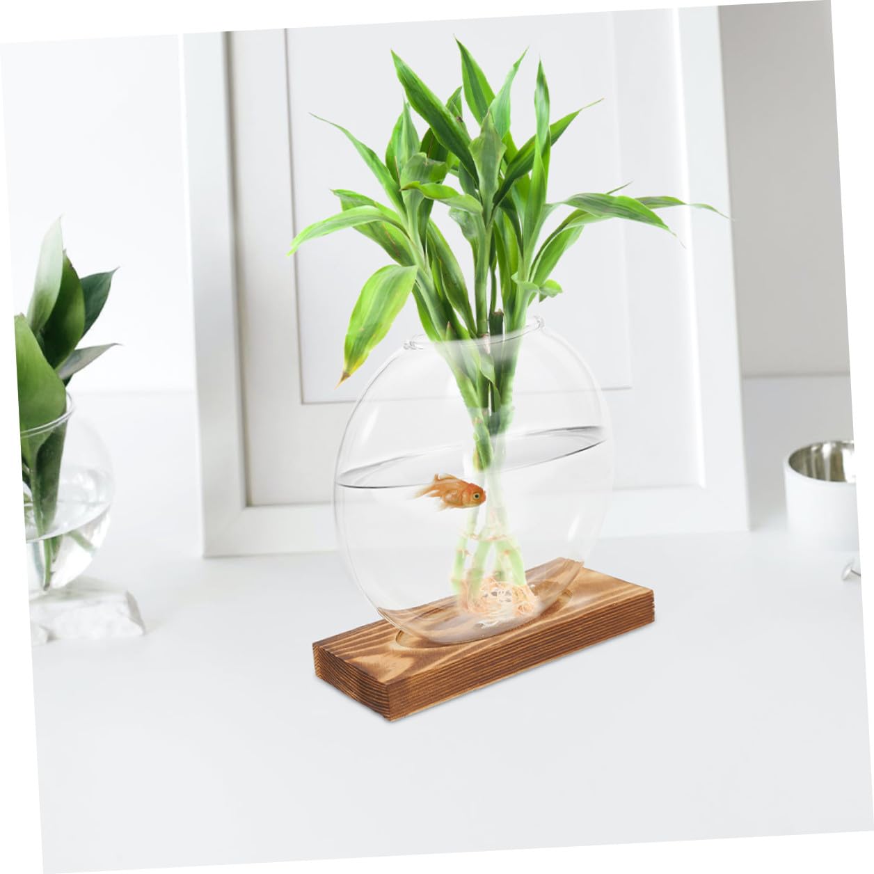 Toyvian 2pcs Hydroponic Glass Vase for Plants with Wooden Base Plant Propagation Station Indoor Terrarium Planter for Home Office Décor