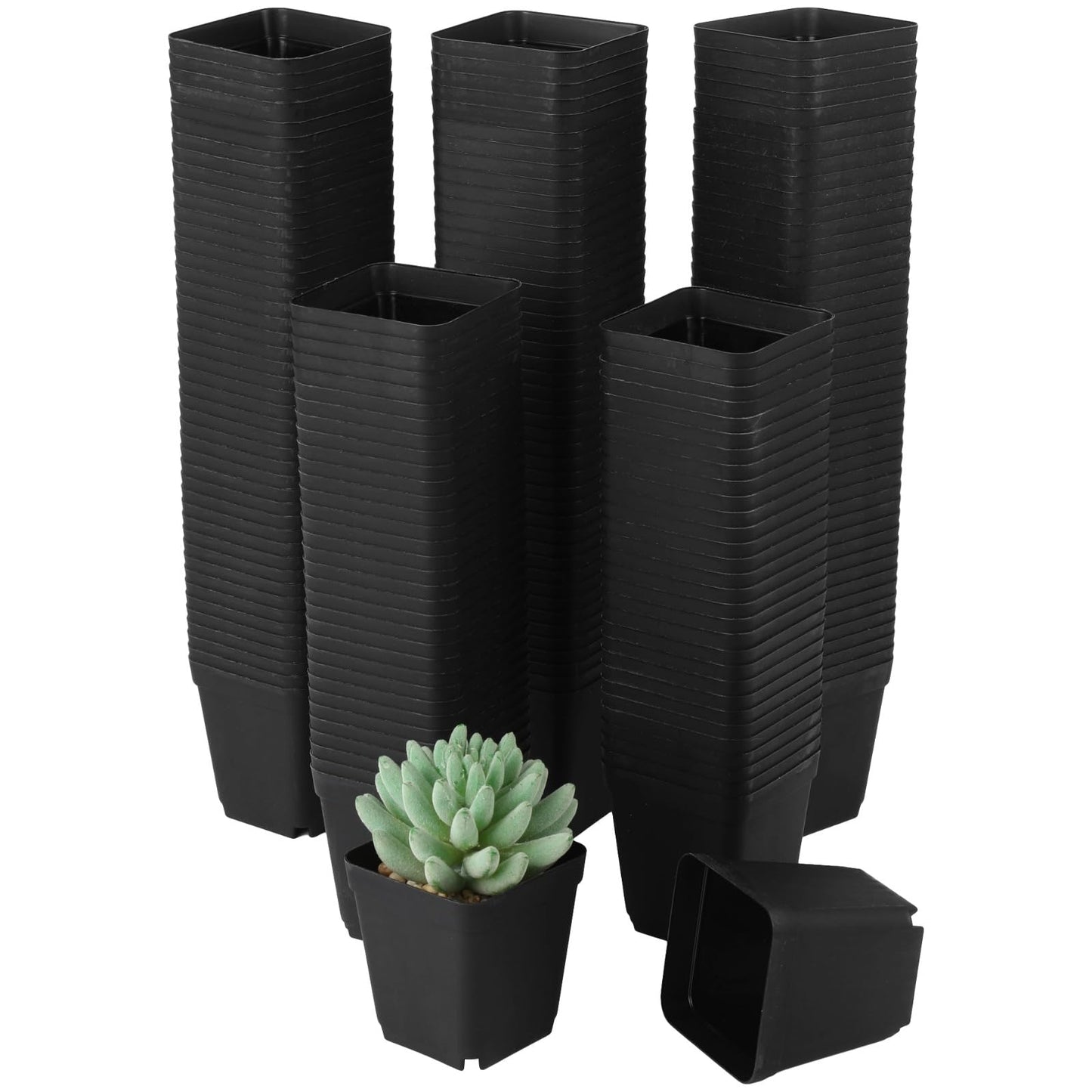 Skdqiee 200 Pack 3 Inch Black Nursery Pot Square Plastic Plant Pots, Seed Starting Planter with Drainage Holes for Succulents, Seedlings, Garden Office Balcony Indoor Outdoor