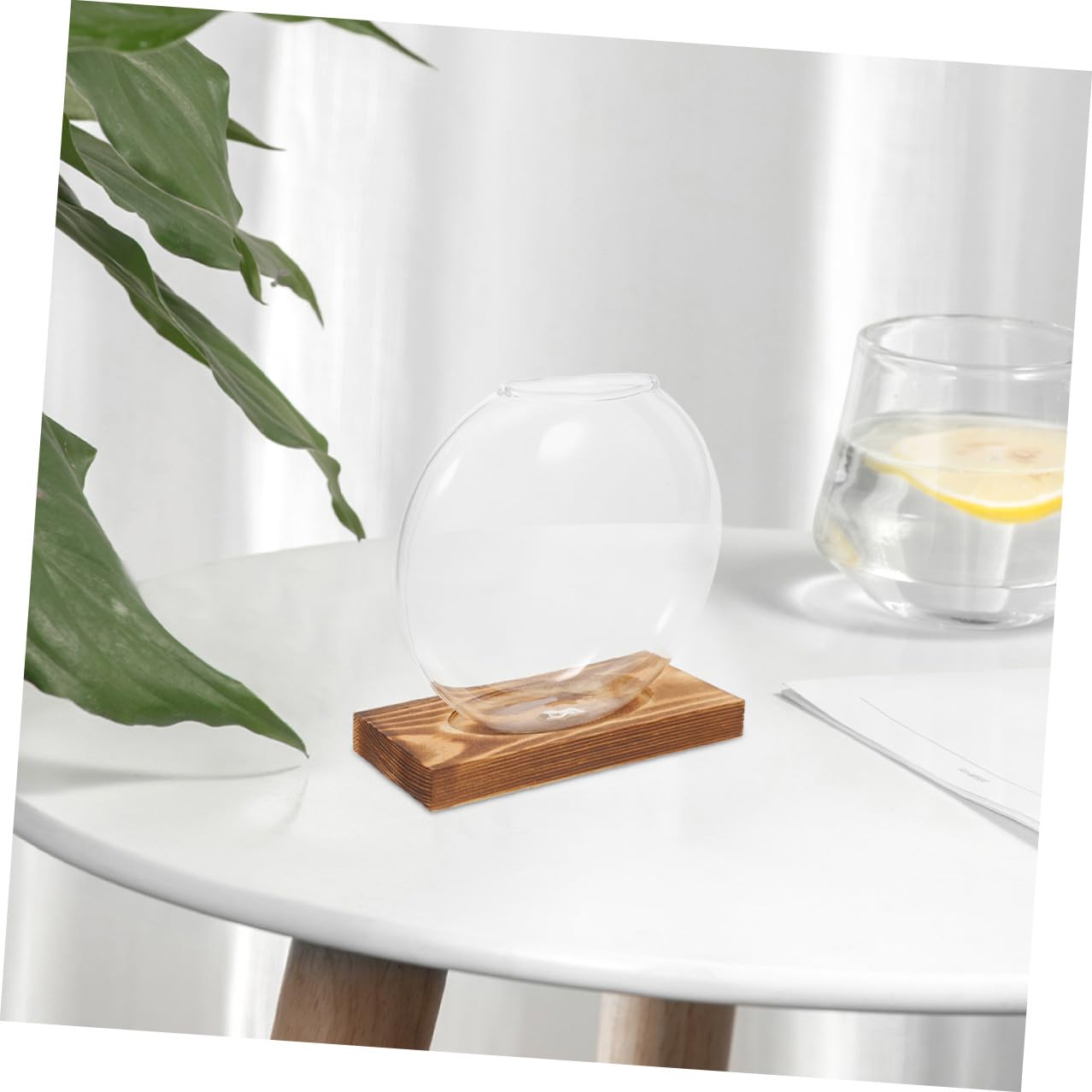 DECHOUS 2pcs Glass Plant Propagation Vases with Wooden Base, Hydroponic Terrarium Station for Indoor Plants, Glass Planter for Home Office Balcony