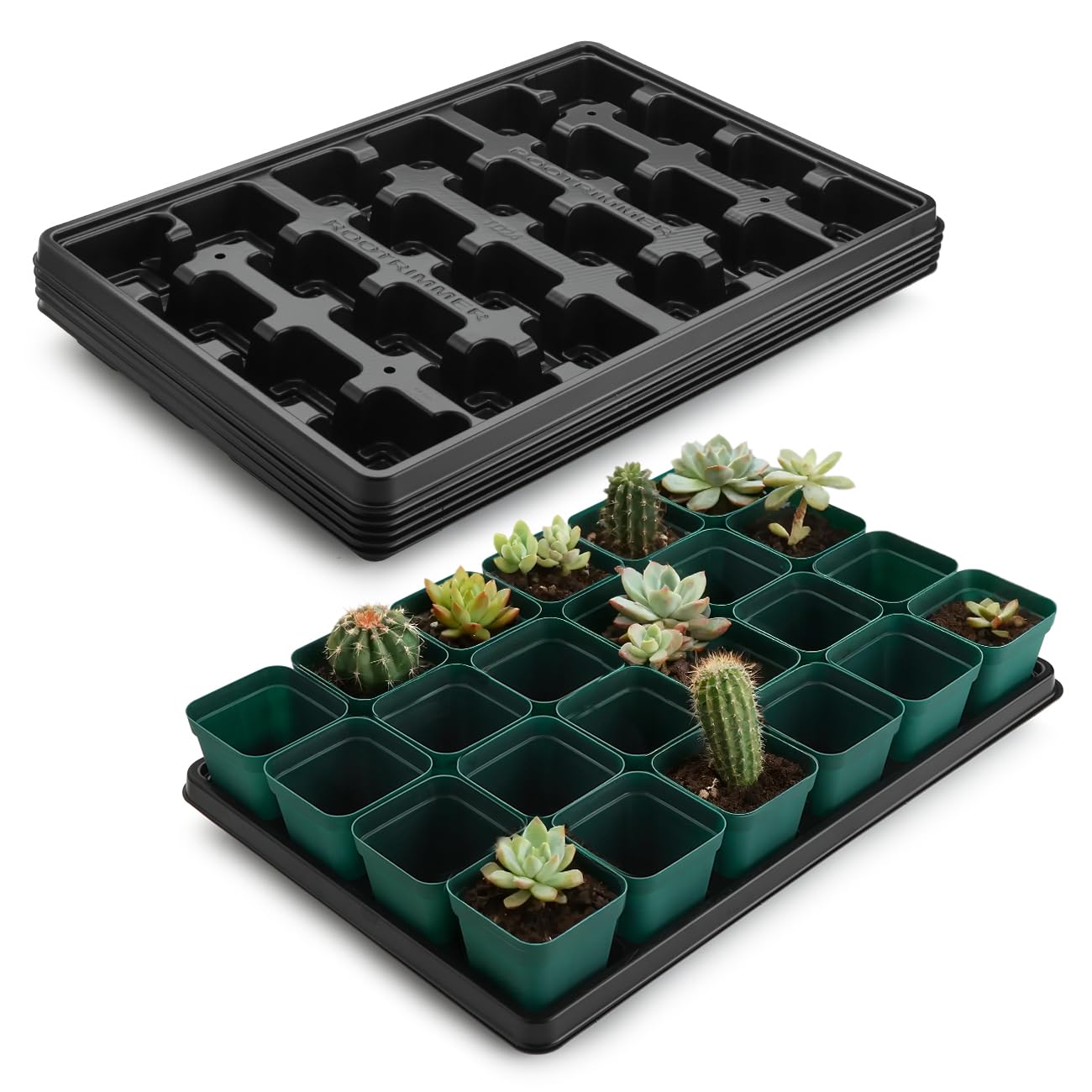 RooTrimmer 2.8 inch (7CM) Square Nursery Pots 120pcs (Green) and 24 Cell Nursery Pots Trays 5 Pack, Plastic Seedling Starter Tray with Drain Holes for Carrying and Holding Plant Pot(17"x11"x1.6")