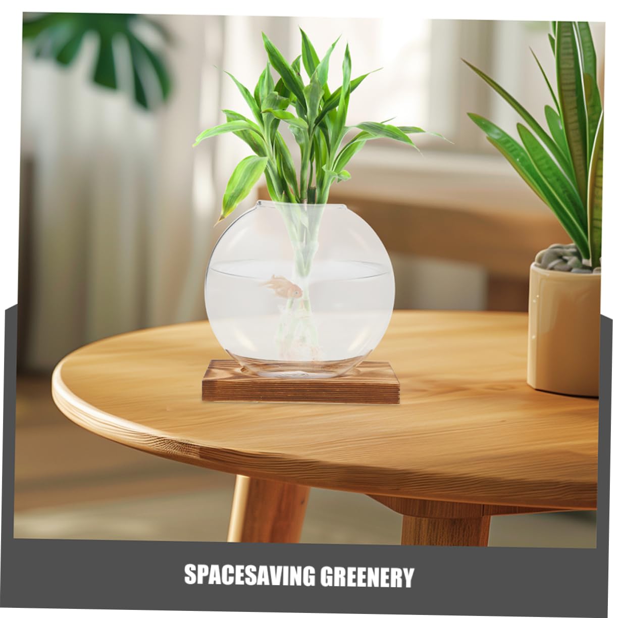 Cabilock 2pcs Plant Propagation Station: Hydroponic Glass Vase with Wooden Base Transparent Plant Terrarium - Hydroponic Vase for Home Office School Balcony