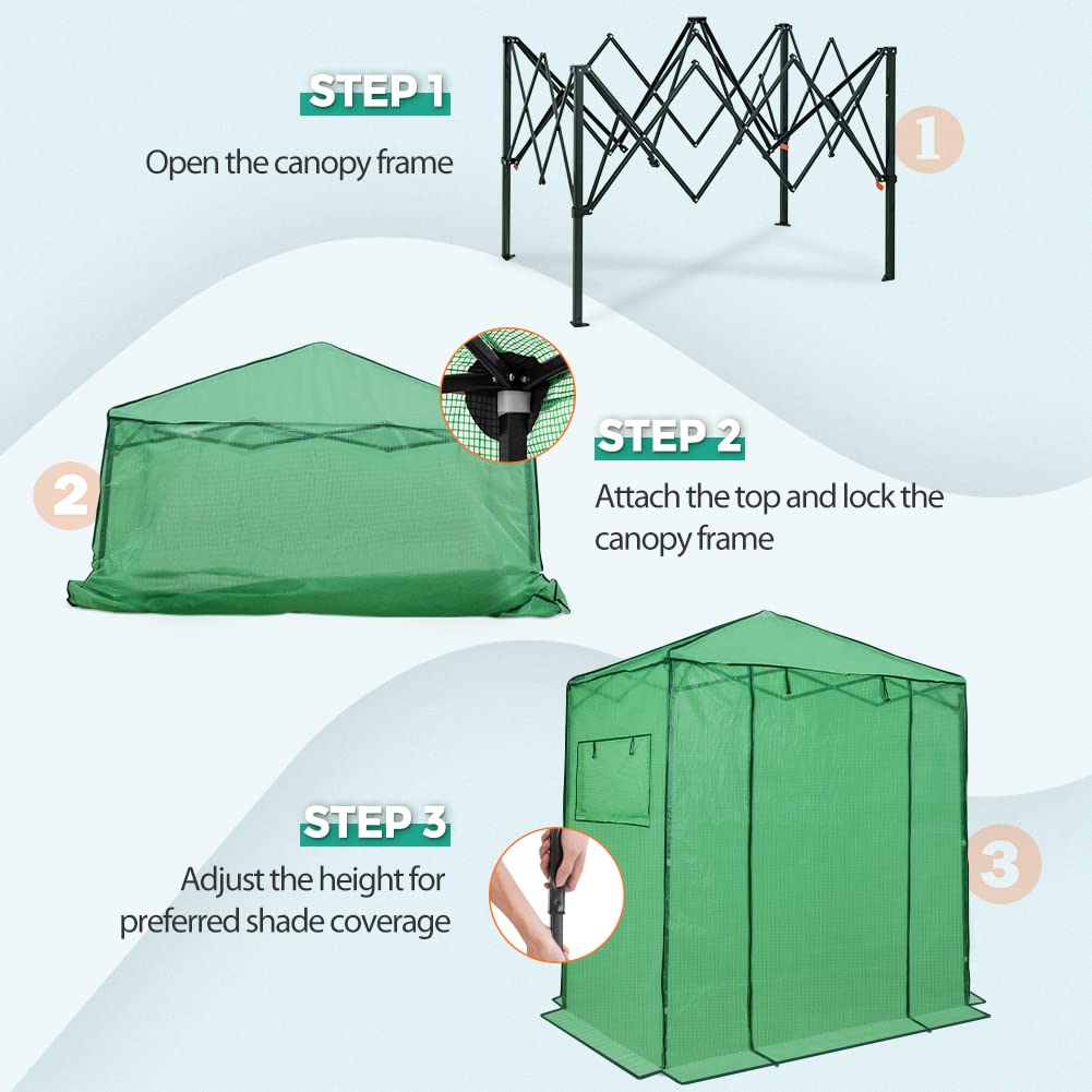 EAGLE PEAK 6x4 Portable Walk in Greenhouse, Pop Up Indoor Outdoor Greenhouse, Green House Kit with Zippered Roll-Up Doors and Windows, PE Cover, Clear/Green