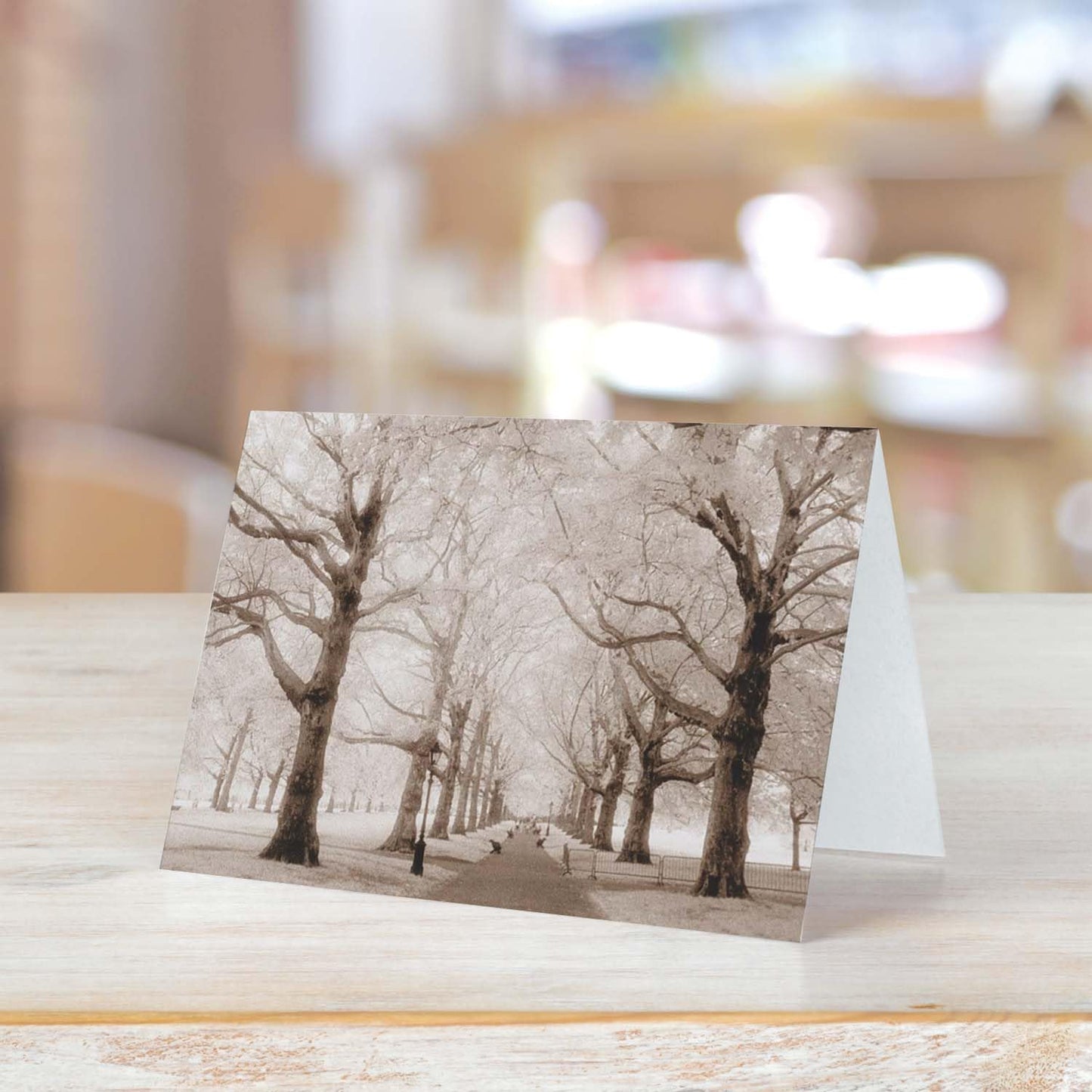 Breathtaking Landscape Note Card Pack / 36 Nature All Occasion Greeting Cards With White Envelopes Set / 6 Colorful Outdoor Scenery Designs / 3 1/2" x 4 7/8" All Occasion Sympathy Cards