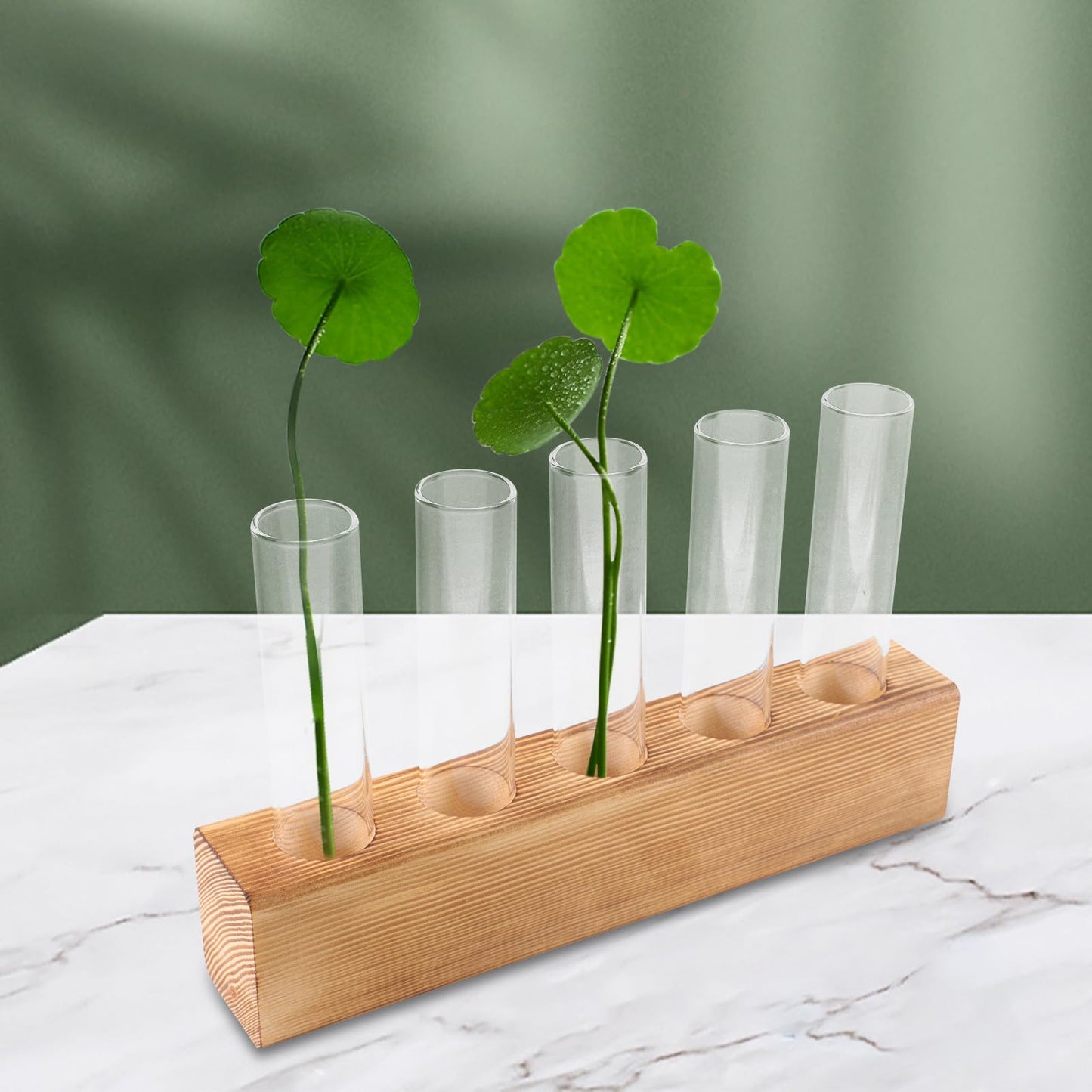 minkissy Hydroponic Plant Vase Glass Planter with 5-Hole Wooden Stand for Indoor Desktop Terrarium and Plant Propagation Home Office Décor