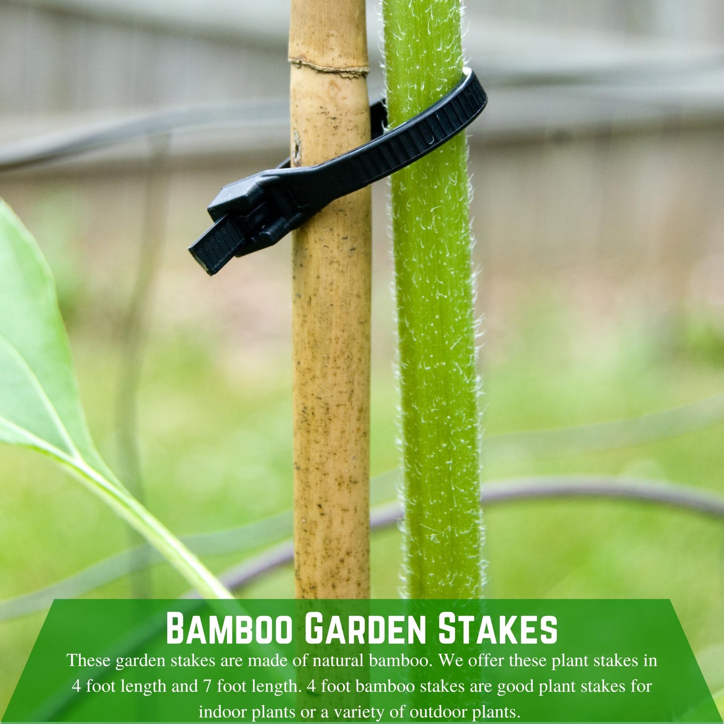 Farm Plastic Supply - Bamboo Garden Stakes - Bambo Sticks, Bamboo Plant Stakes for Outdoor Plants, Plant Support Stakes for Indoor Plants (7 Foot, 10)