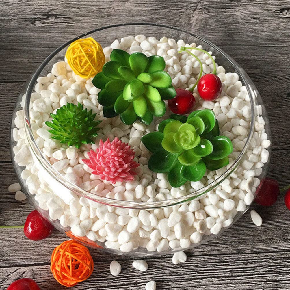 Glass Bubble Bowl - Wide Mouth Flower Vase Clear Bubble Planter Terrarium Aquatic Plant Pot Shallow Fish Tank for Centerpiece Hydroponic Succulent