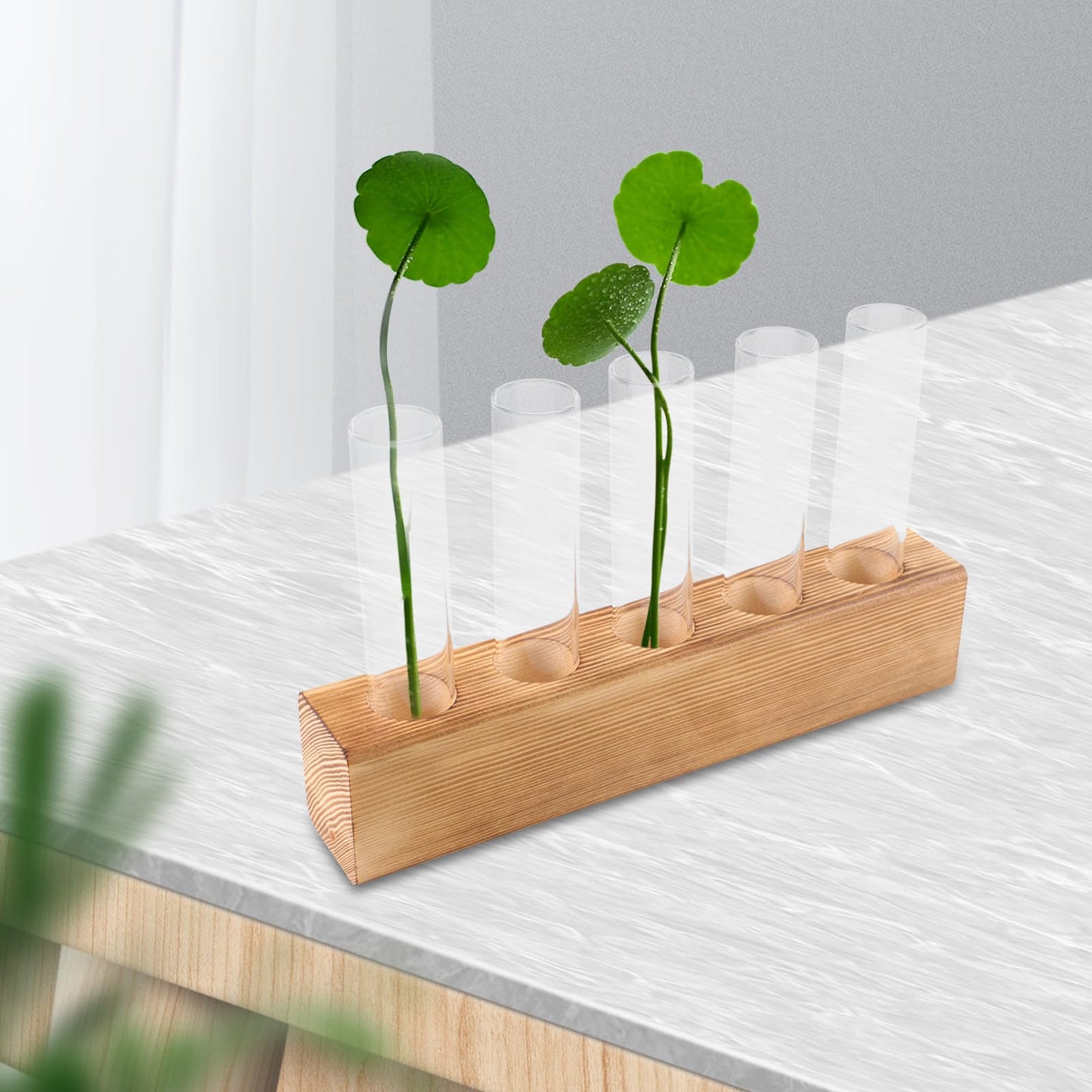 Holibanna Hydroponic Plant Terrarium Glass Vase with 5-Hole Wooden Stand, Indoor Desktop Propagation Station for Plant Growth and Decorative Home Garden Display