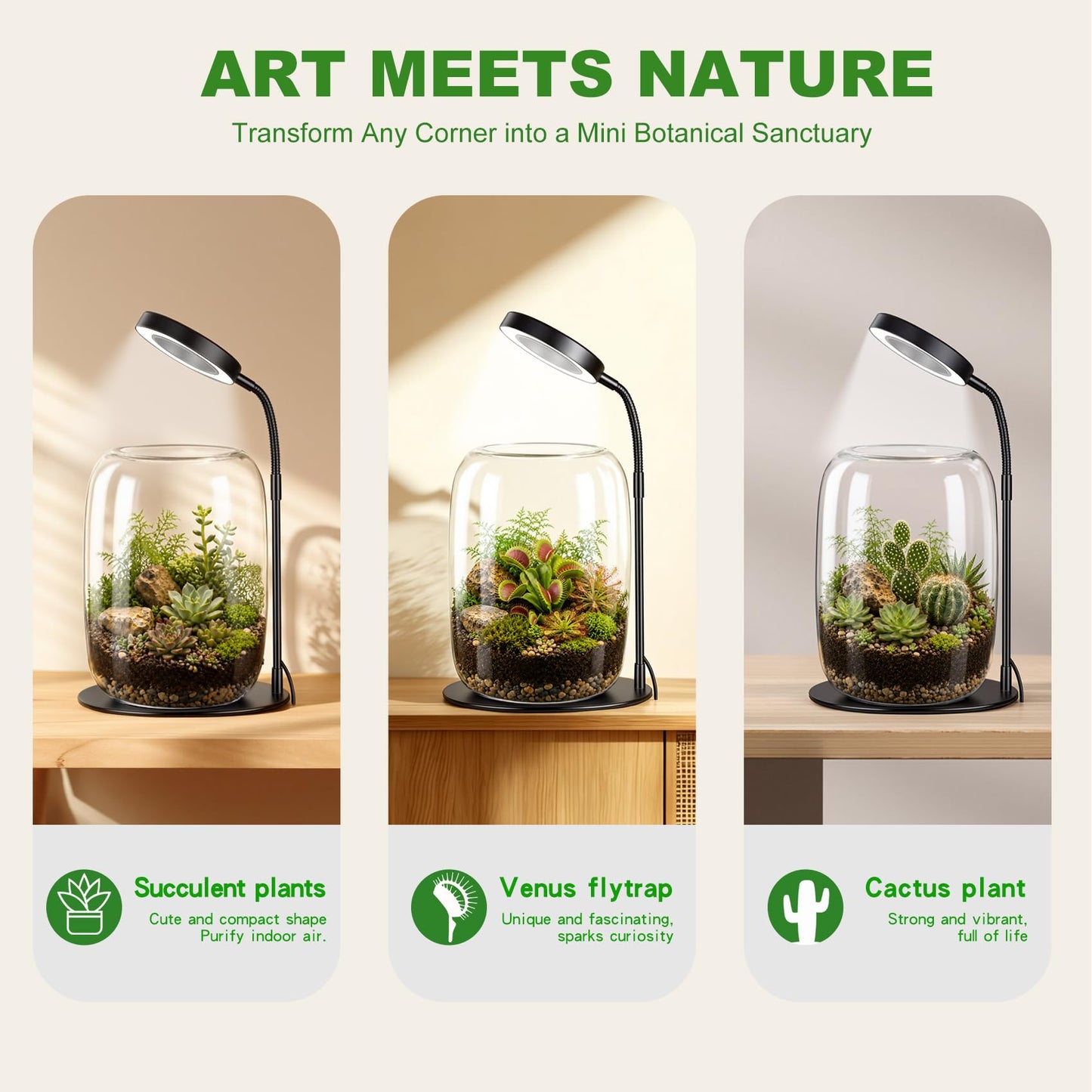 Yeeweek 5X Aperture Grow Light for Indoor Plants, Mini Desk Grow Light with Glass Terrarium for Small Plants, Succulents & Moss, Height Adjustable Plant Growing Lamp for Home Office Gift