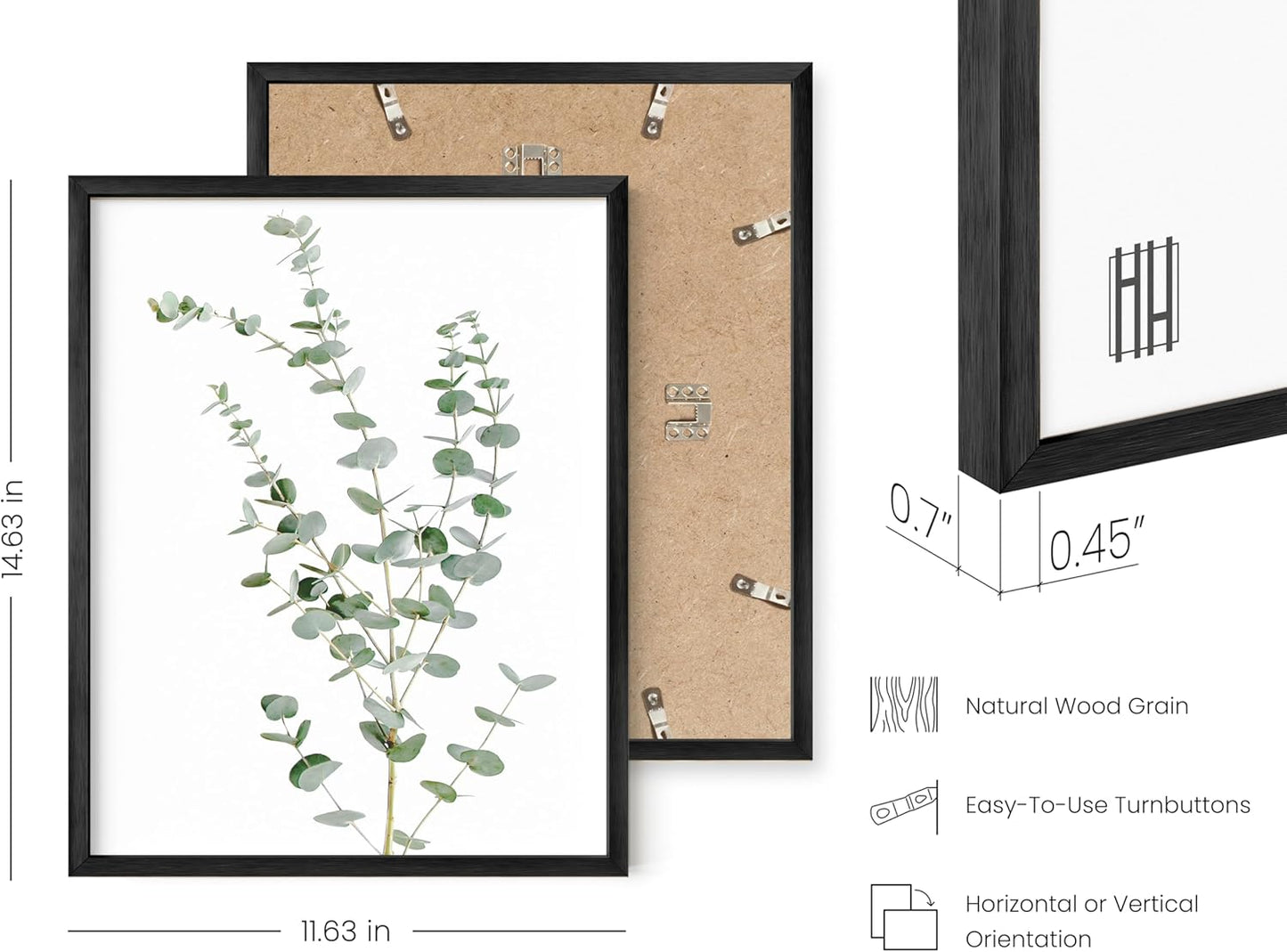 HAUS AND HUES Botanical Prints - Set of 4 Plant Pictures Wall Art - Eucalyptus Wall Decor - Black Aluminum Frame, 11x14