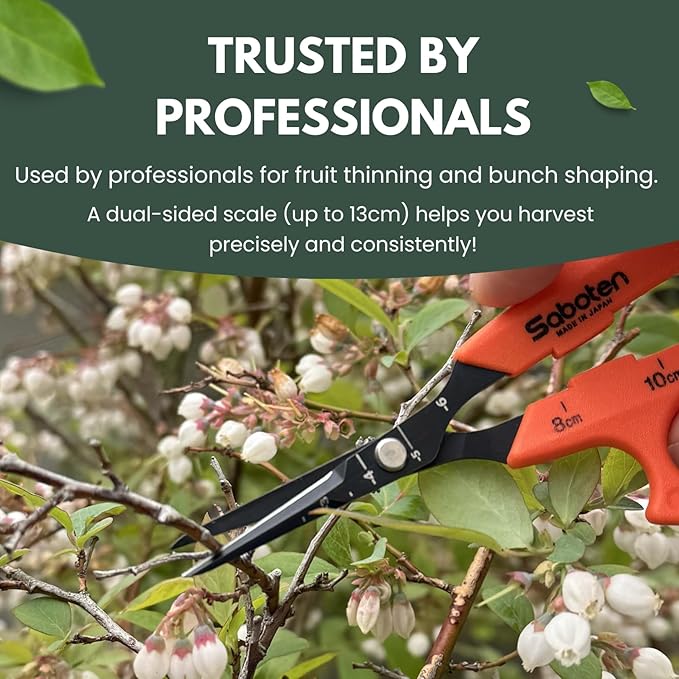 Saboten 6.3" Japanese Harvesting Shears, Magnetic Springless Assist, Fine-Tip Angled Blade, Fluorine-Coated Stainless Steel, Ergonomic Non-Slip Grip, Safety Lock, Made in Japan