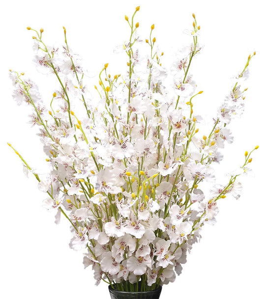 OMUYGDD White Silk Flowers in Bulk Wholesale Artificial Orchids, 12 Pcs (Each 38.5”), for Wedding Festive Party Home Office Decoration, No Include Vase