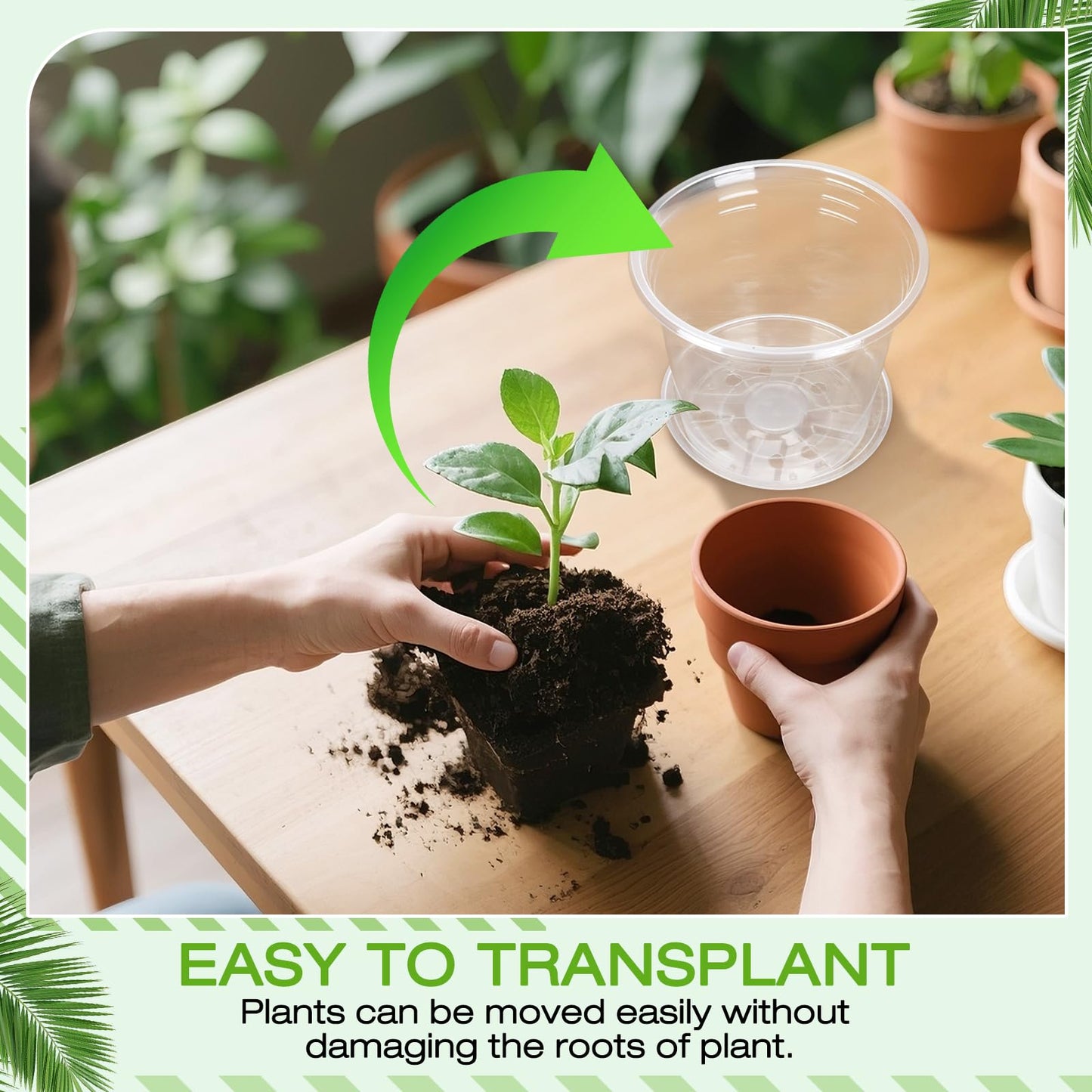 FUOAUYK 7 Inch Clear Nursery Pots with Drainage Trays, 15 Pack Plastic Pots for Plants, Clear Pot for Seed Starting, Transplanting, Succulents, and Indoor Gardening (7 inch)