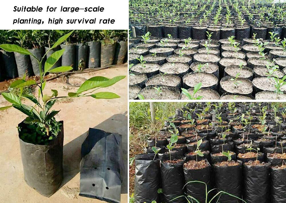 Frjjthchy 100 PCS Thicken Plastic Nursery Bags for Plants Fruit Flower Grow Bags Seedling Pots (6.69x11.81 in)