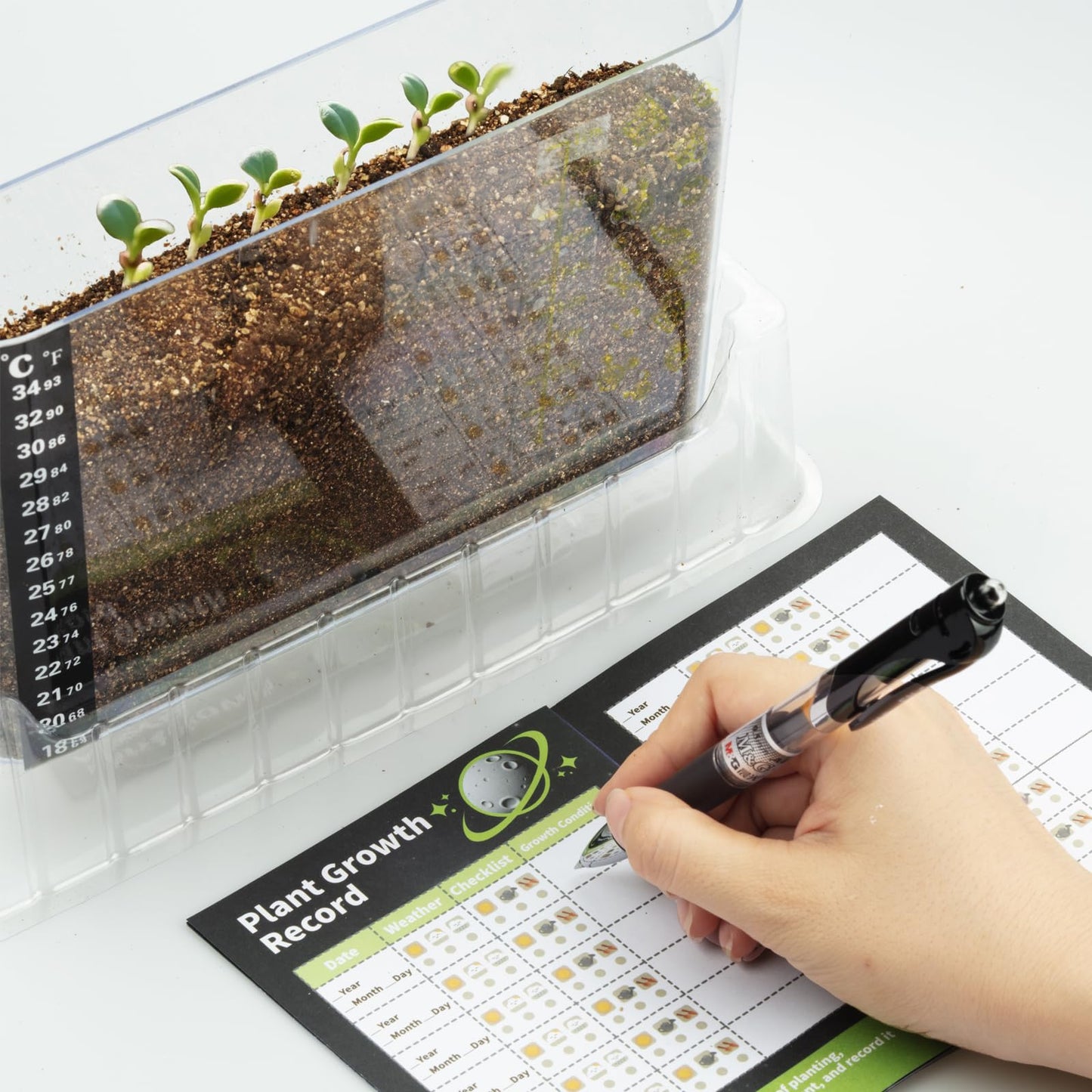 WKLOUYHE Root Viewer Kit for Kids - STEM Science Toy & Craft Growing Kits for Ages 6 7 8 9 10 Birthday Easter Gifts for Boys and Girls - Kids Gardening Set