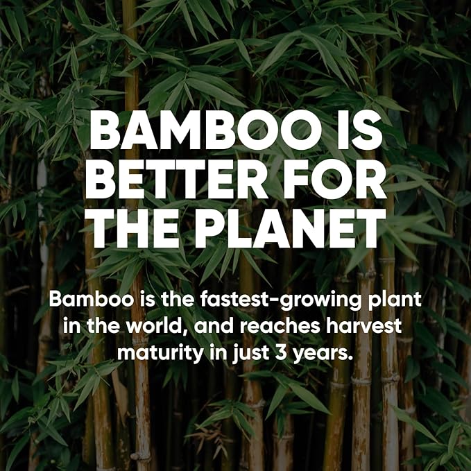 Save Trees Bamboo Toilet Paper - 48 Rolls Of Septic Safe Organic Toilet Paper- 3-ply, 300 Sheets Per Roll - PFAs Free, FSC Certified, Plastic & Chemical Free - For Home, Boat & RV Use