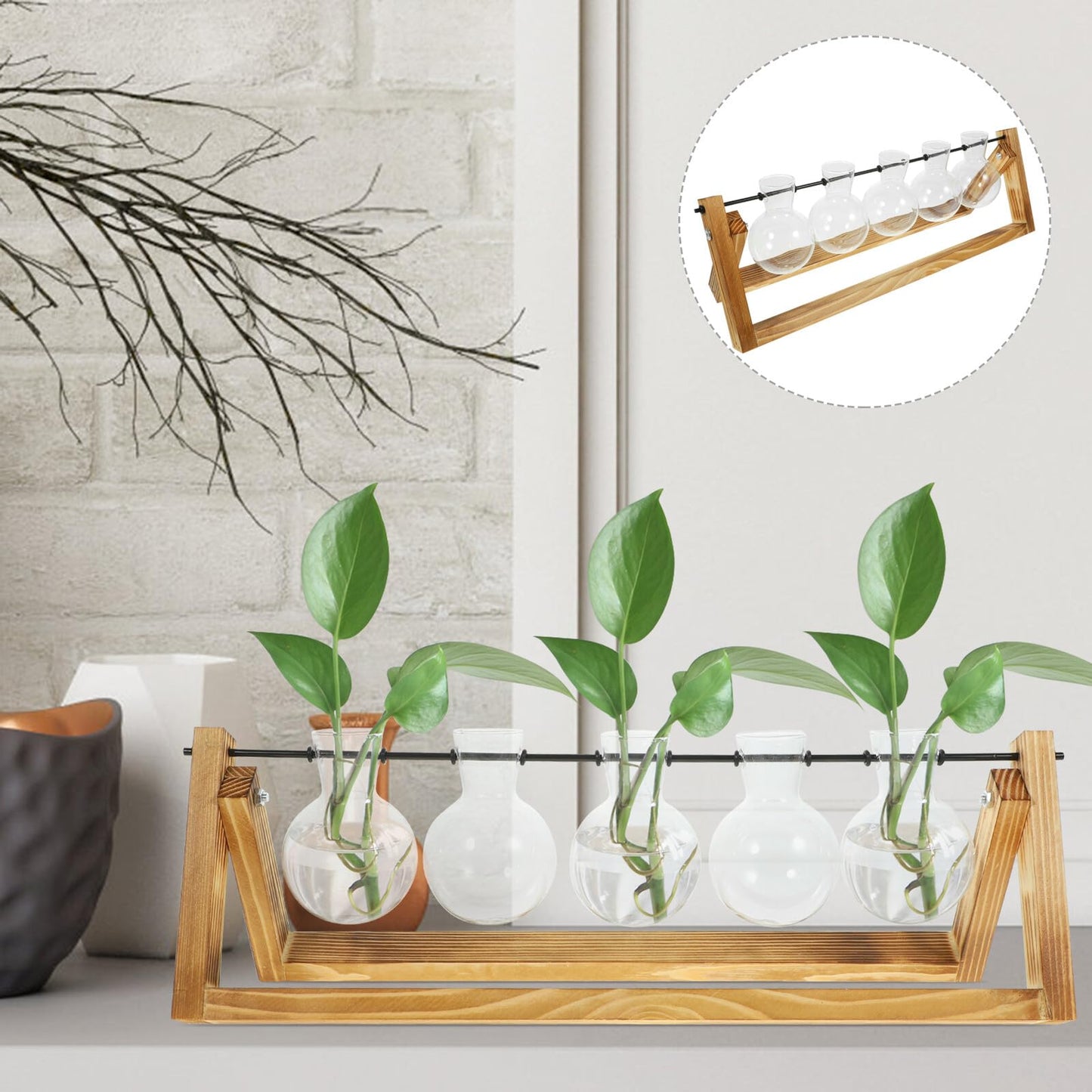 NIYANGLE Glass Propagation Station Set with 5 Small Glass Vases and Wooden Stand for Hydroponic Plant Terrariums, Tabletop Flower Vases for Home Décor and Indoor Gardening