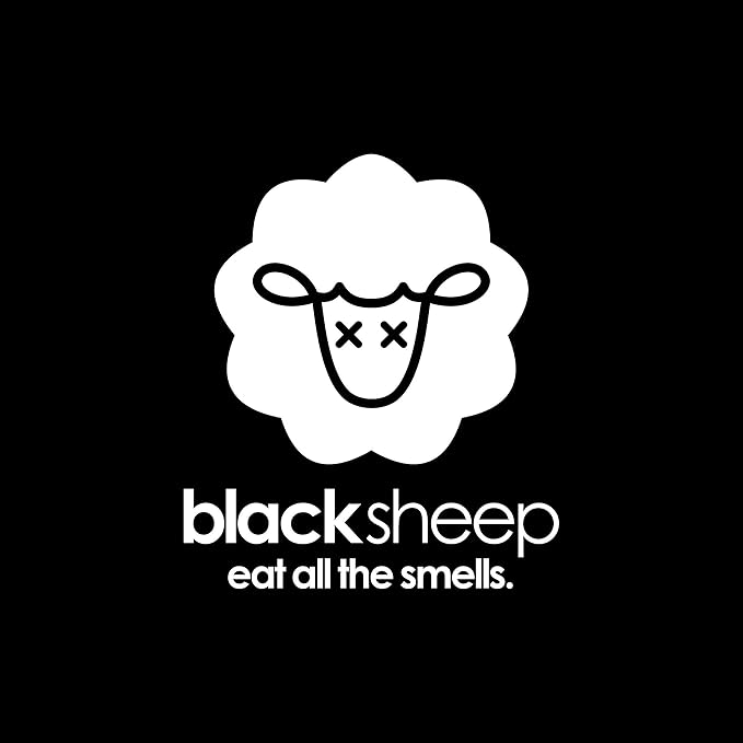 Black Sheep - Bamboo Charcoal Natural Air Purifying Bag - Eliminates Odors in Homes, Cars, Bags, Shoes, Closets & More - 200g (1)