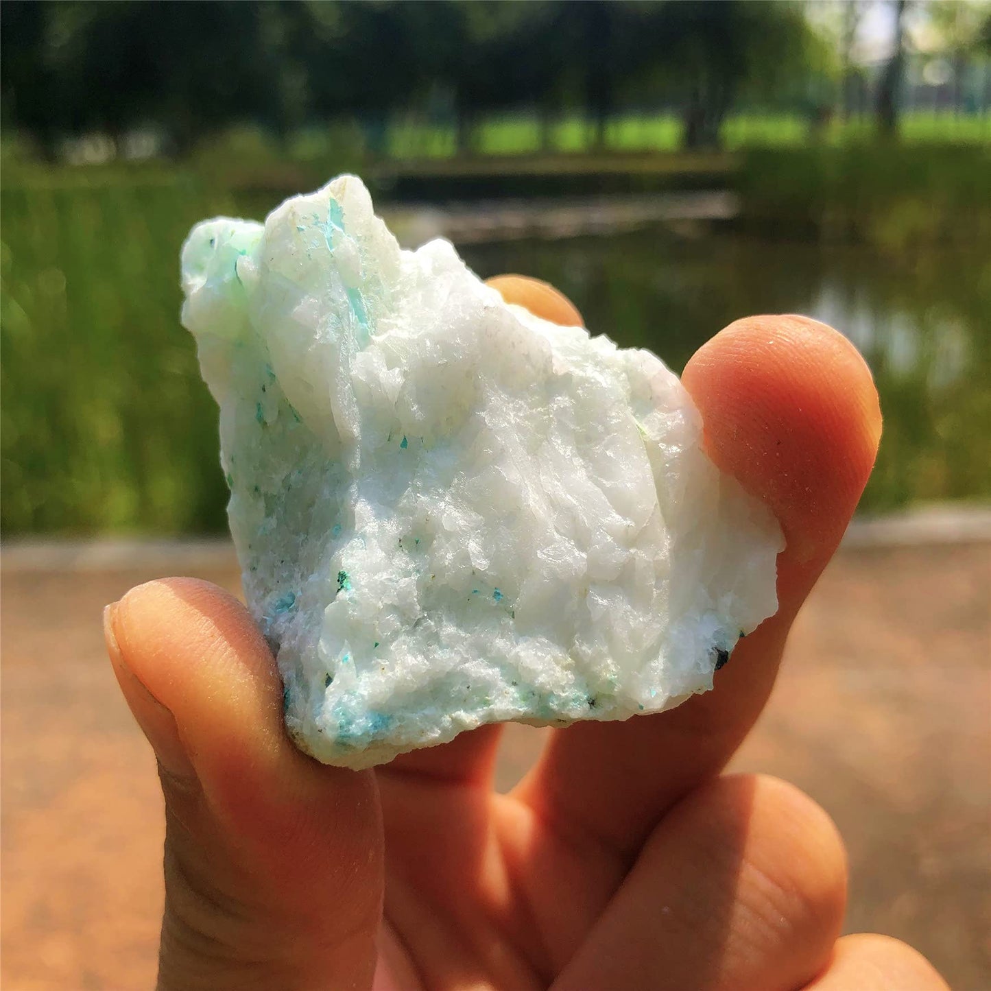 Zenkeeper 1Lb Large Rough Chrysocolla Crystal Bulk Raw Phoenix Stone Natural Crystal Chunks Crystals Healing Stones