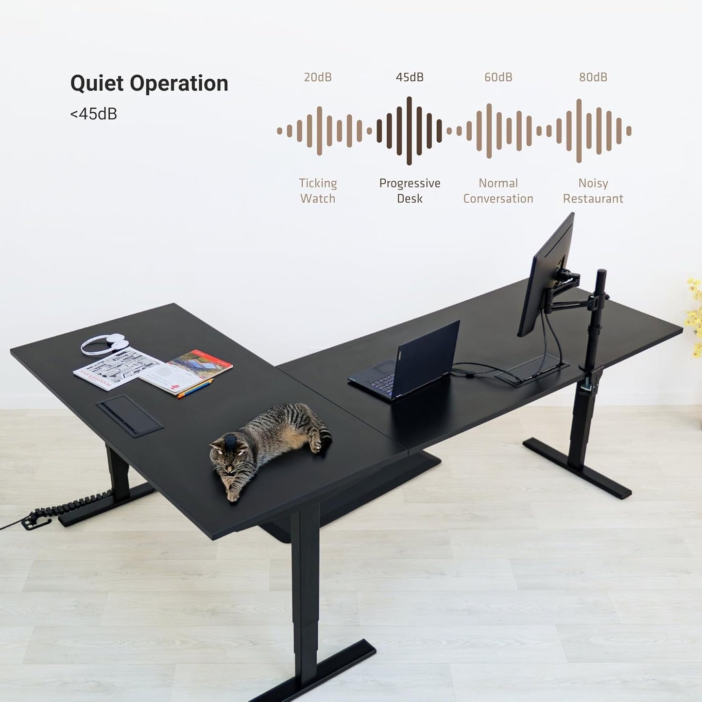 Standing Desk: FLT-05, DT-3030-DC, DT-4830-DC, DA-10-Black