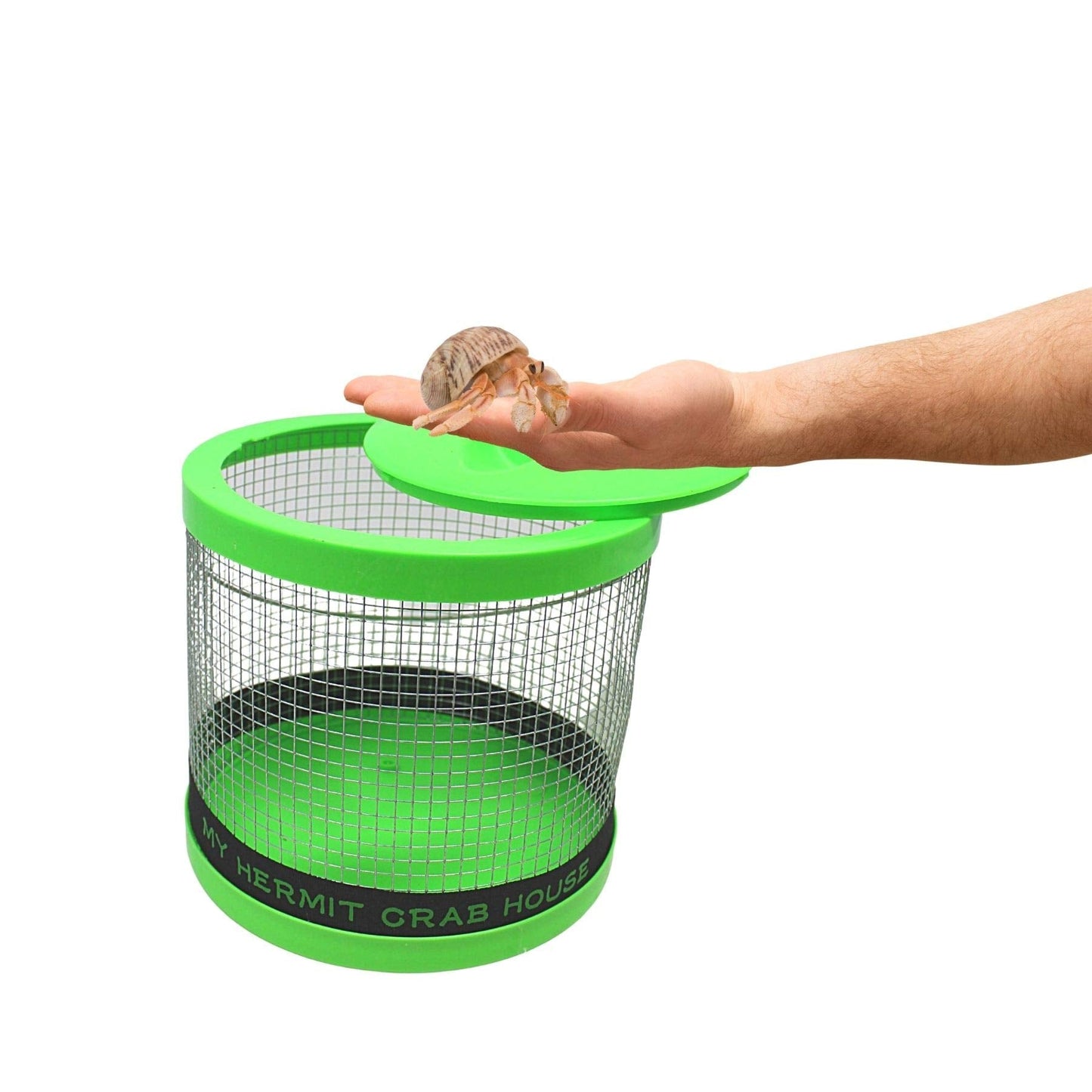 Needzo DIY Terrarium Kit, Medium Hermit Crab Starter Pack with Wire Cage, Palm Tree Water Holder, Sponge, Bag of Food, Gravel, and Misting Water Bottle, All in One Pet Supplies, 7 Inches