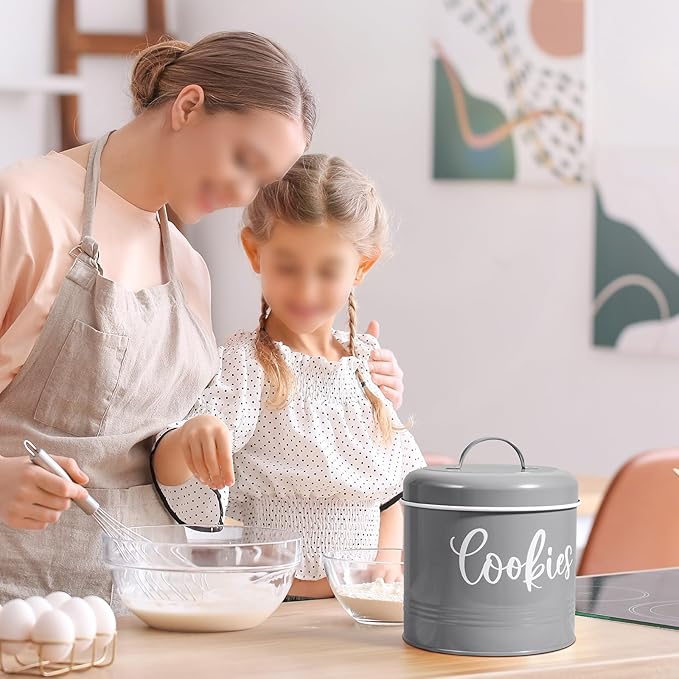 Gray Cookie Jar for Kitchen Counter, 1 Gallon Vintage Cookie Jar with Airtight Lid, Large Food Storage Container for Candy, Cookies, Dessert, Farmhouse Kitchen Decor and Accessories