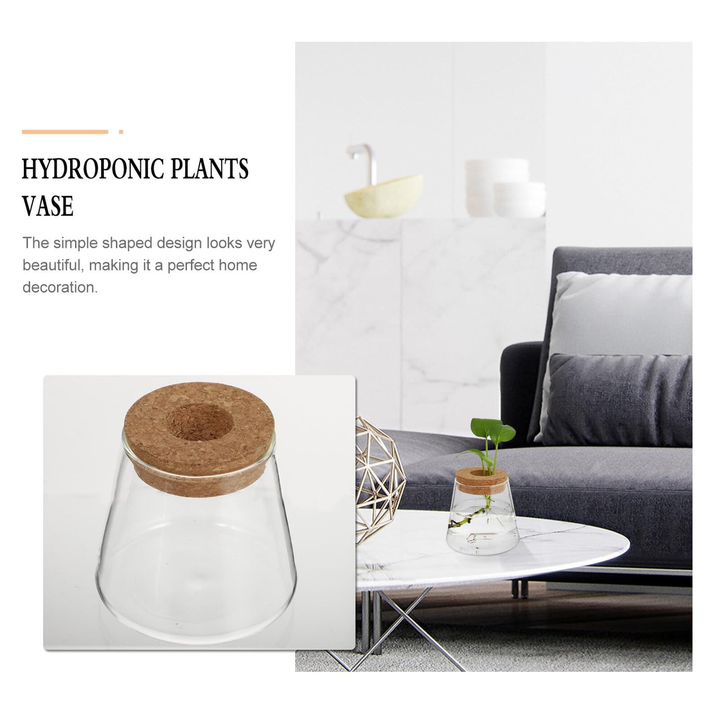Healvian 2pcs Hydroponic Glass Plant Containers with Cork Lids 400ml Small Desktop Terrarium Vessels for Home and Office Garden Decoration