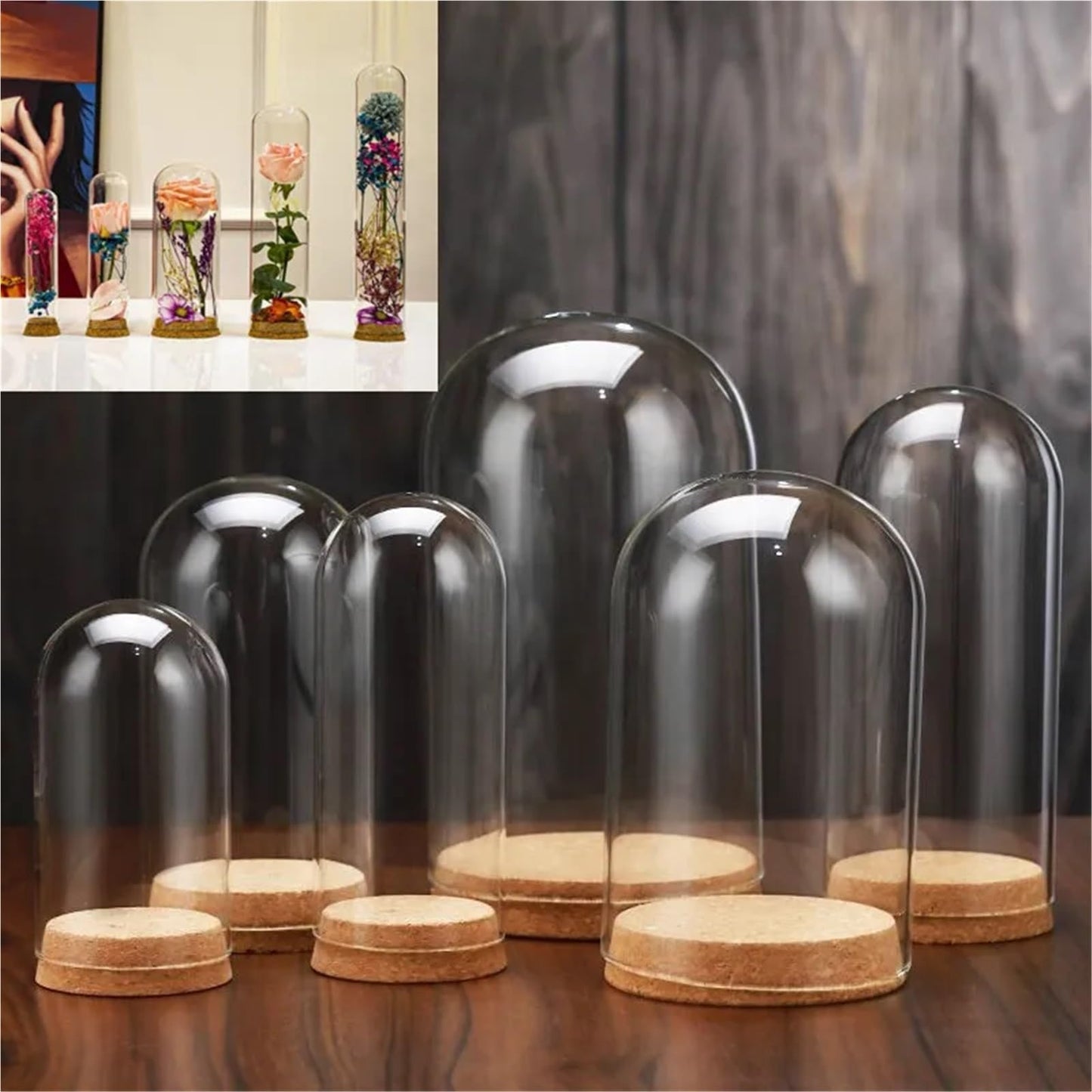 10X Da30mm Glass Bottle Terrarium Jar Cork Base Dome Dust Cover DIY Specimen Succulent Plant Micro Landscape Flower Vase Display(30x150cm)