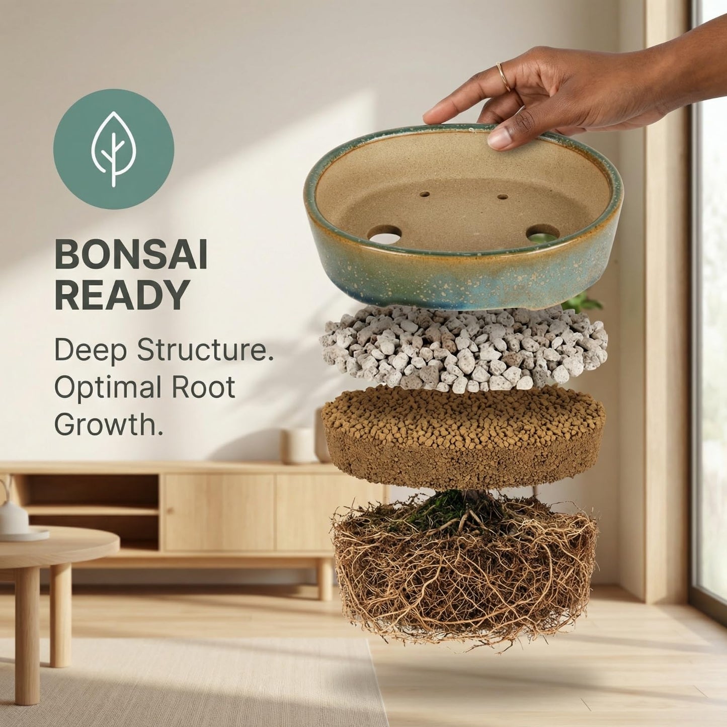 krayce Serenya 6.3 Inch Ceramic Bonsai Pots with Drainage Trays, 3 Pack Shallow Kiln Glazed Planters for Succulents & Bonsai, Indoor Outdoor Decor for Beginners