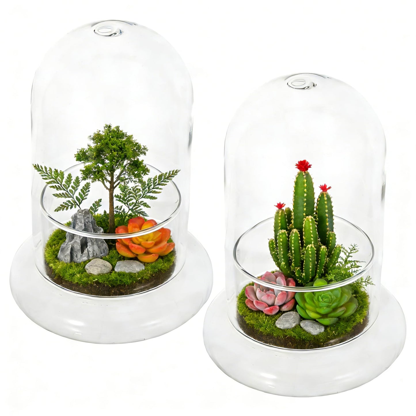 2pcs Cloche Glass Dome with Air Hole and Base, Clear Glass Terrarium Plants Bell Jar Humidity Dome for Smallplants, Home Indoor Tabletop Decoration (No Plants)