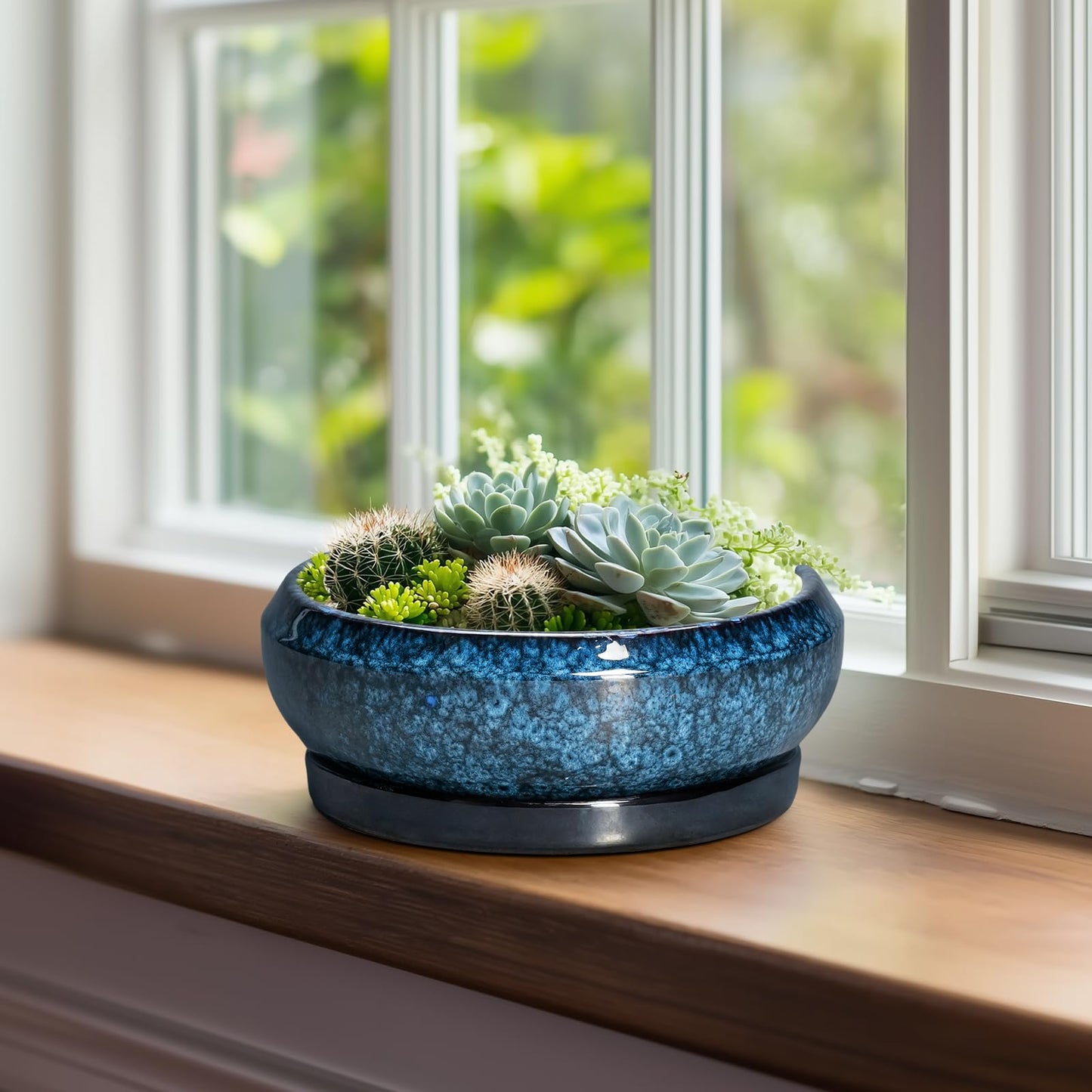 EPFamily Bonsai Pots 8 Inch - Ceramic Succulent Planter for Indoor Outdoor, Round Bonsai Planter with Drainage Hole and Saucer, Shallow Ceramic Planters Bowl, Patio Decor, Housewarming Gift, Blue