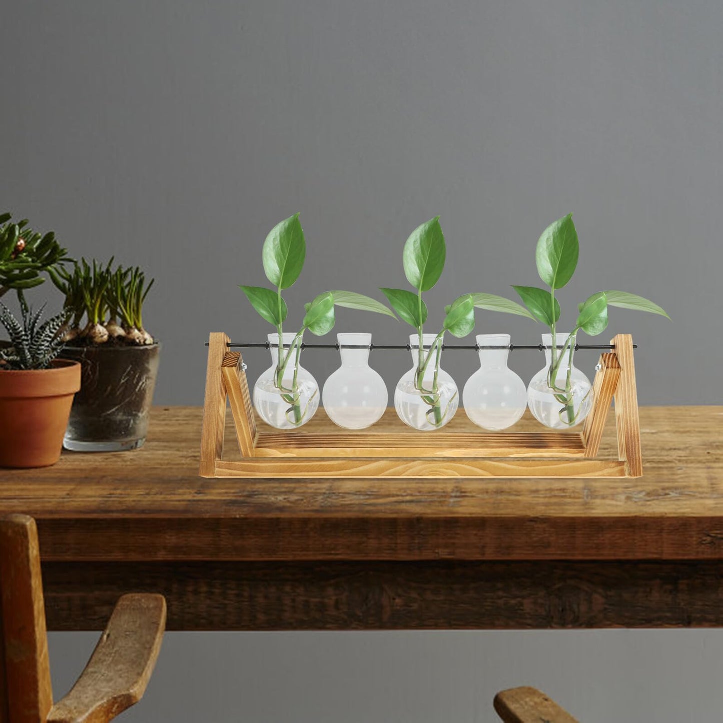 Zerodeko Small Glass Vase Set with Wooden Stand, Hydroponic Propagation Bottles for Desktop Plant Terrarium, Home Décor Flower Vase Kit for Indoor Gardening and Green Plant Display