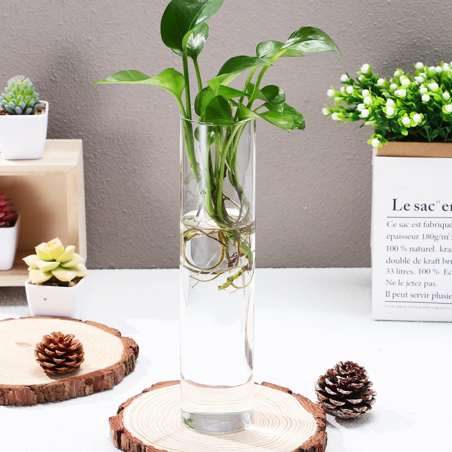 ARTSEWPLY Wall Mounted Glass Tube Vases for Plants Propagation, Large Cylinder Hanging Terrariums, Water Plants Holder for Indoor Home Décor, 2pcs