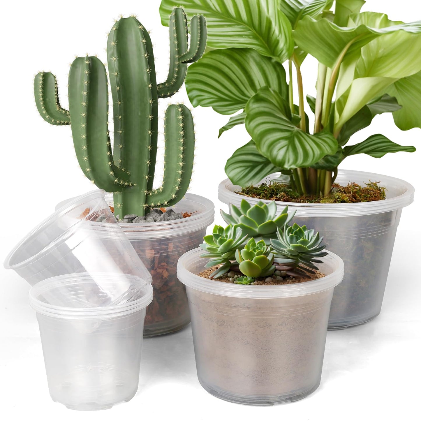 FUIJOL 6/8/10/12 Inch Large Clear Nursery Pots with Drainage, 16 Pack Clear Plastic Nursery Pots for Plants, Garden Seedling Starter Plant Pots for Succulents, Flower & Vegetable (6/8/10/12in-16Pack)